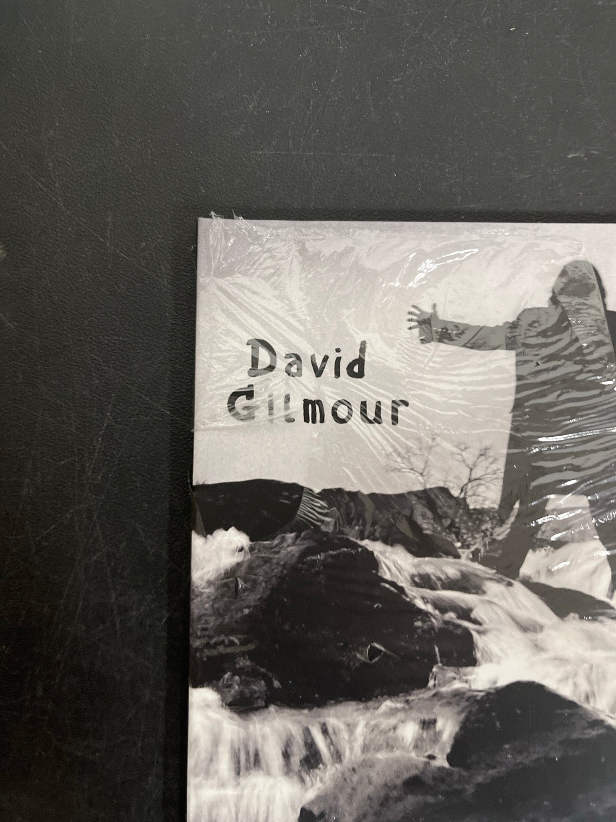 FRONT_TL - David Gilmour - Luck and S... Target Exclusive Blue Vinyl USED NOT TESTED