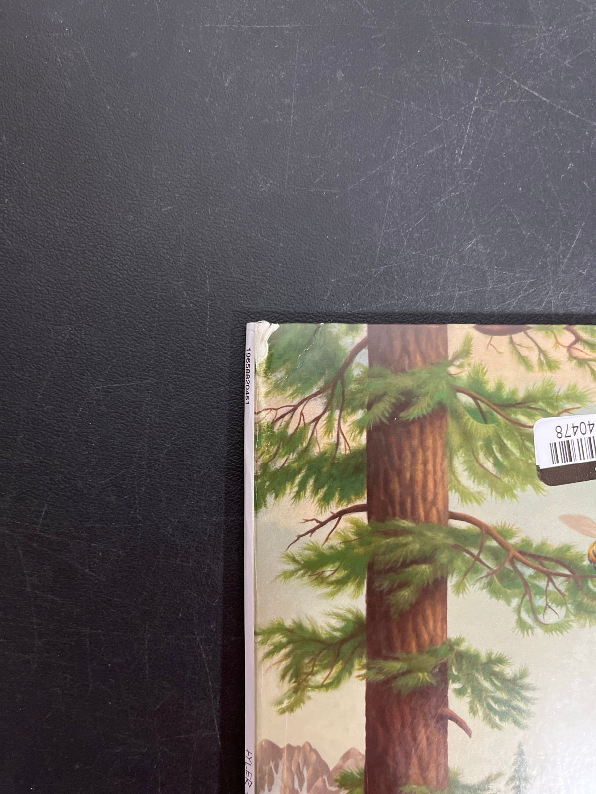 FRONT_TL - Tyler, The Creator - Wolf LE Pink Vinyl USED NOT TESTED
