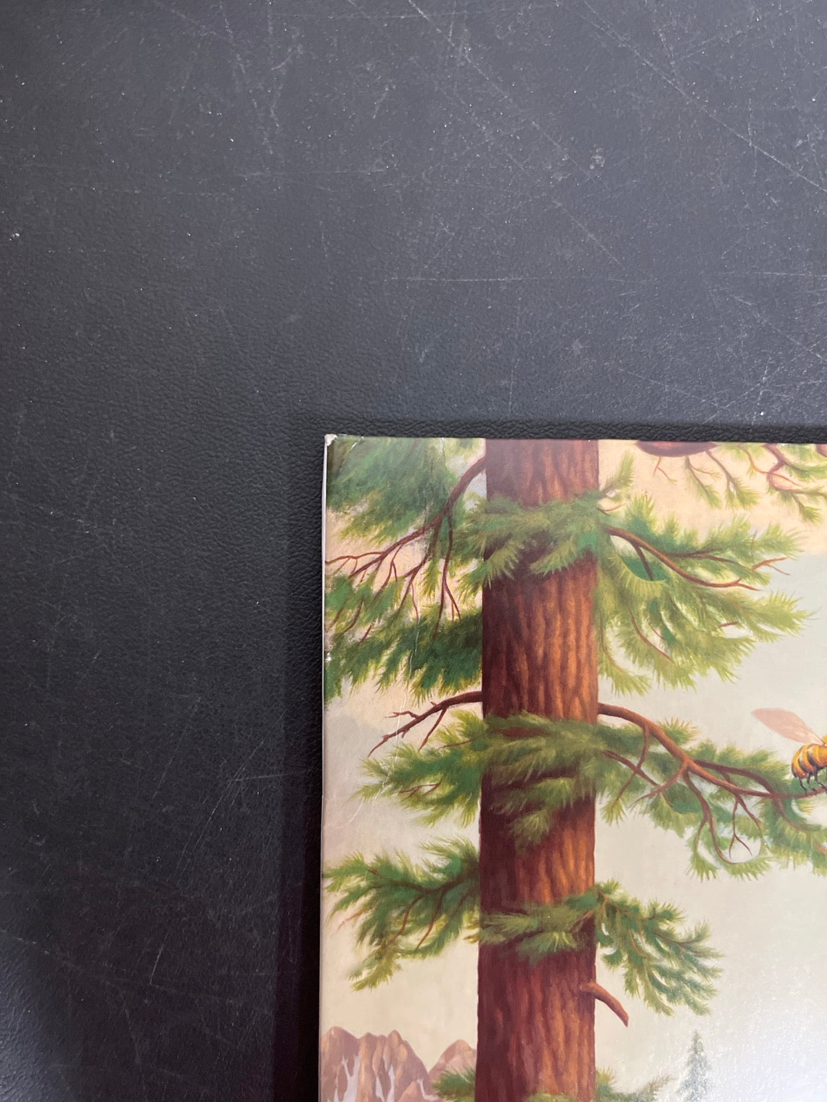 FRONT_TL - Tyler, The Creator - Wolf LE Pink Vinyl USED NOT TESTED