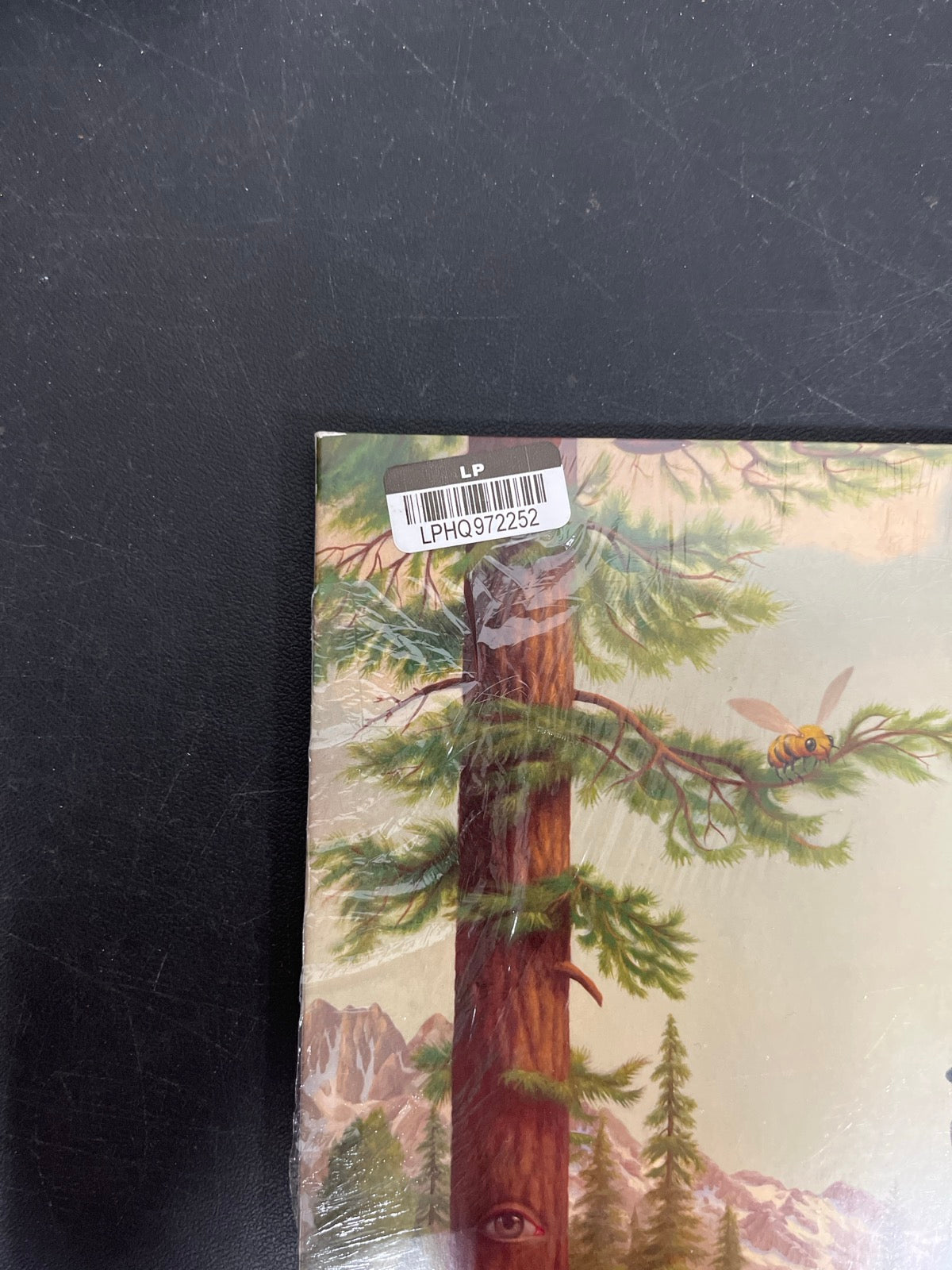 FRONT_TL - Tyler, The Creator - Wolf LE Pink Vinyl USED NOT TESTED