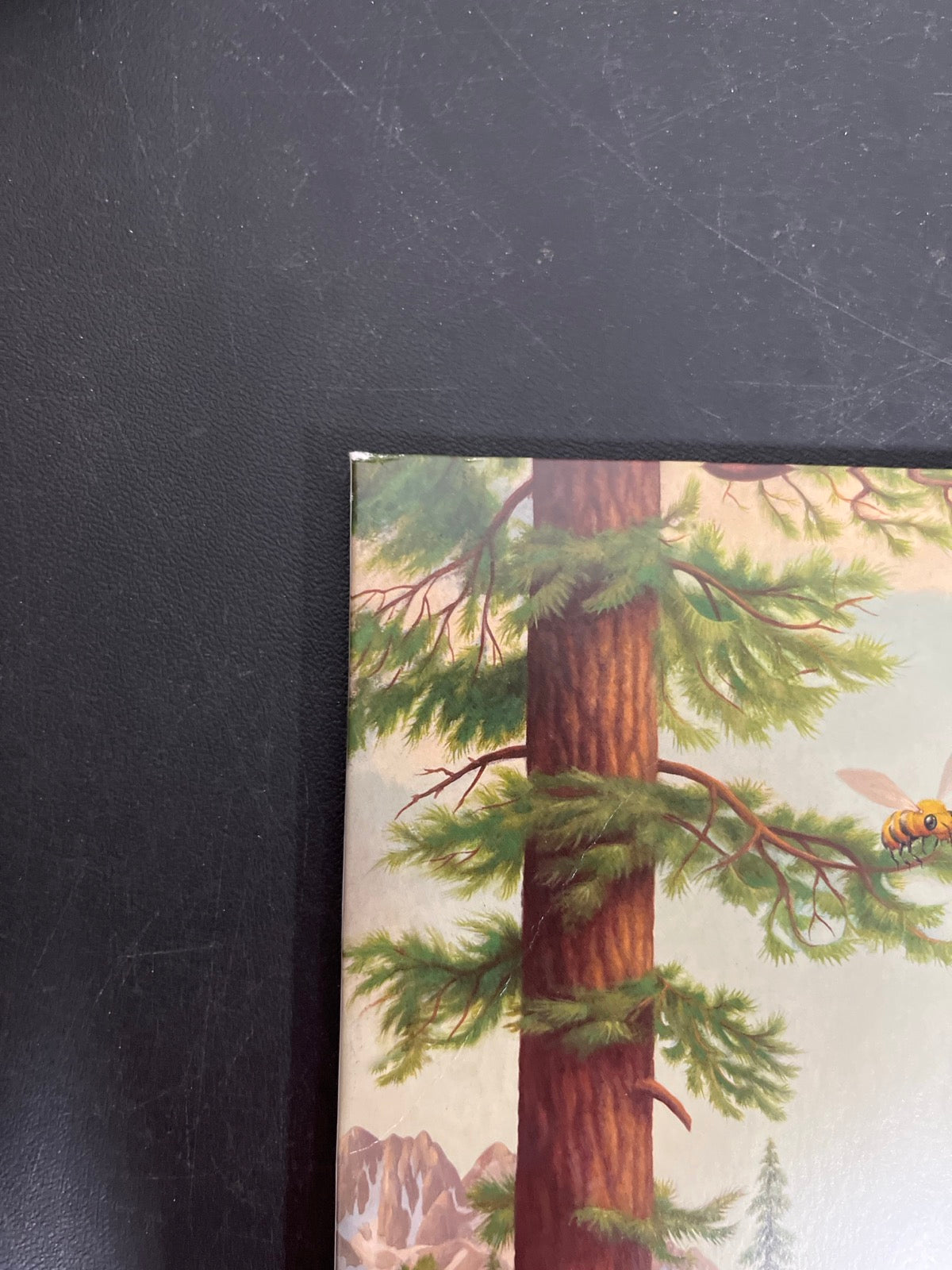 FRONT_TL - Tyler, The Creator - Wolf LE Pink Vinyl USED NOT TESTED