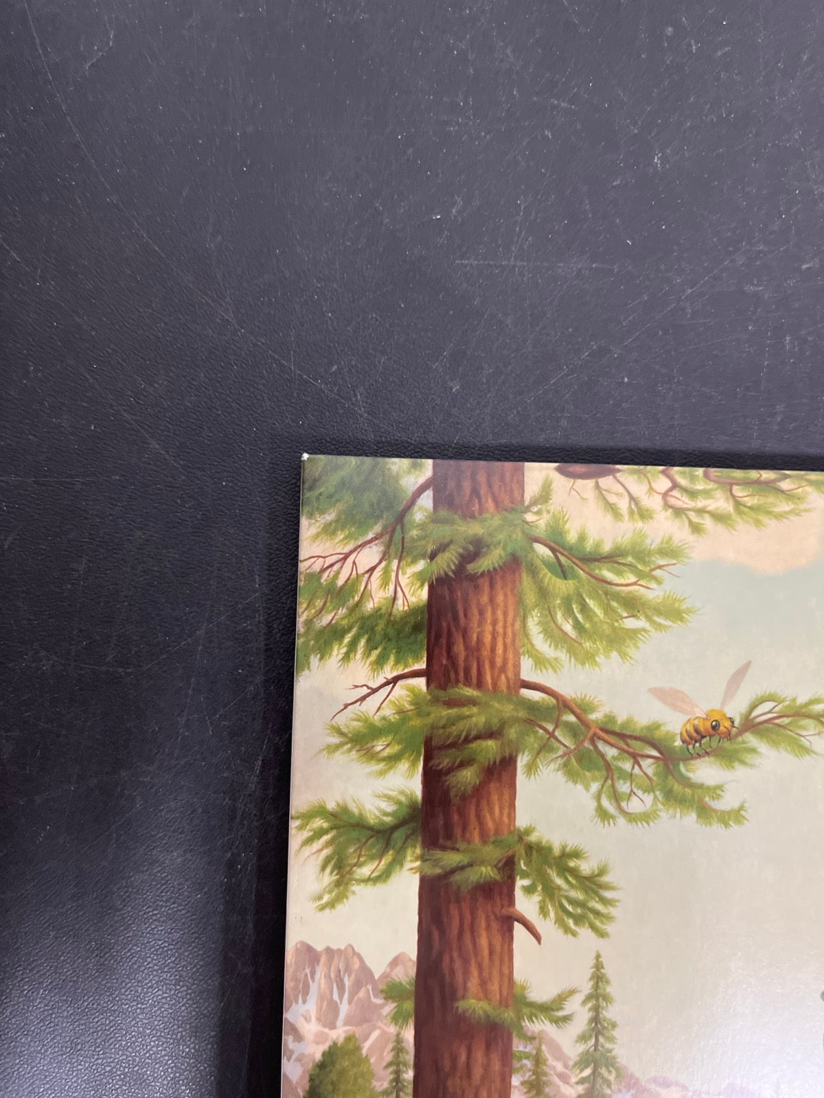 FRONT_TL - Tyler, The Creator - Wolf LE Pink Vinyl USED NOT TESTED