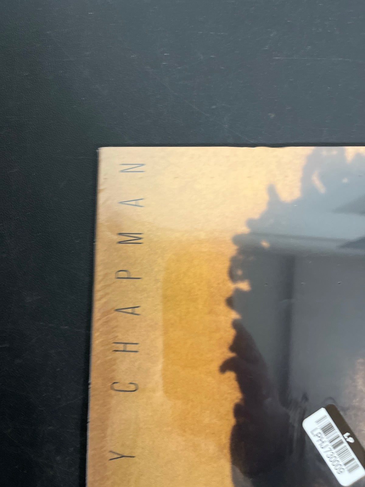 FRONT_TL - Chapman - Tracy Chapman Reissue Etched 180 Gram Remastered Vinyl USED NOT TESTED