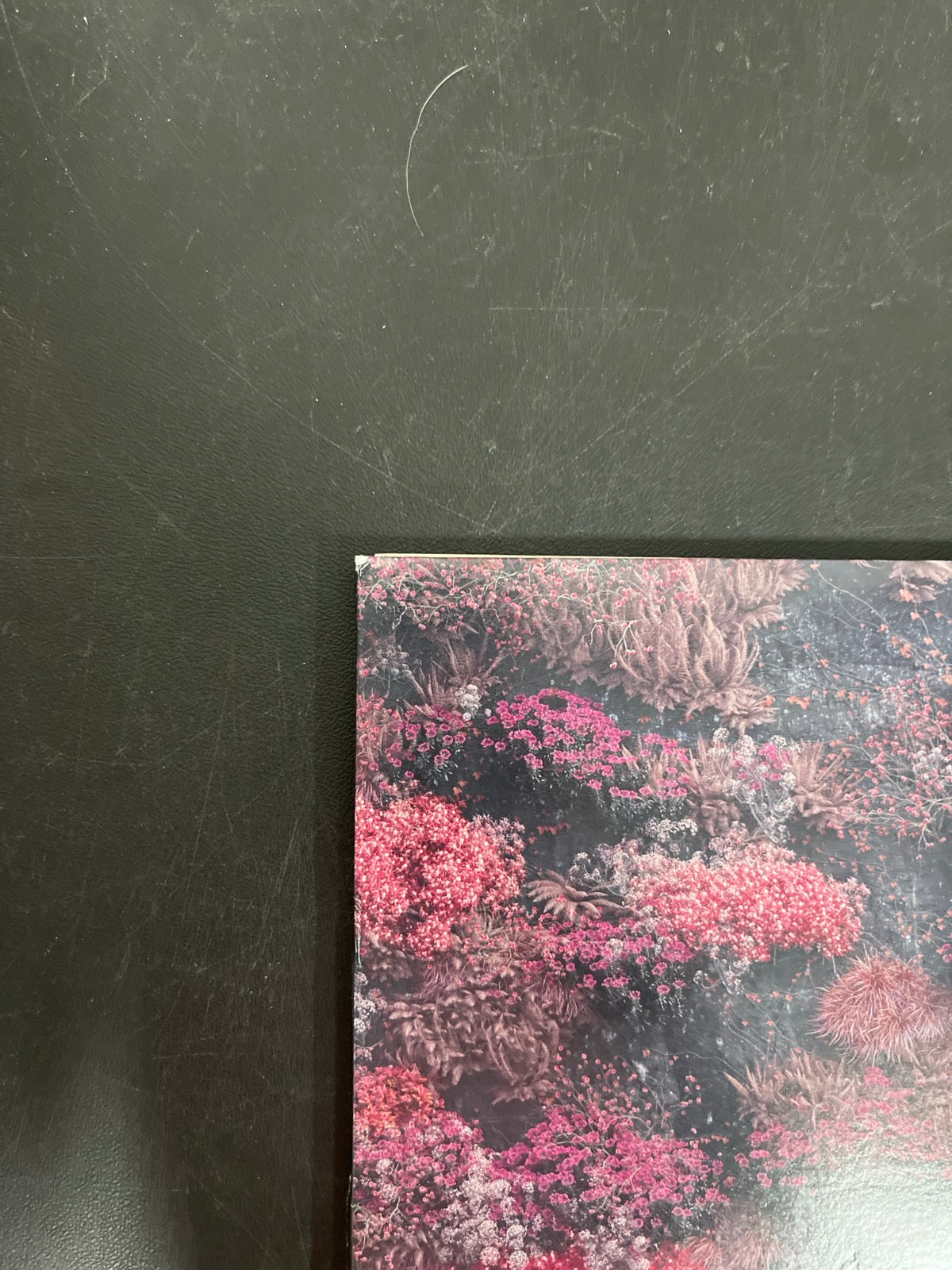 FRONT_TL - Sleep Token - Even In Arcadia Black Vinyl USED NOT TESTED