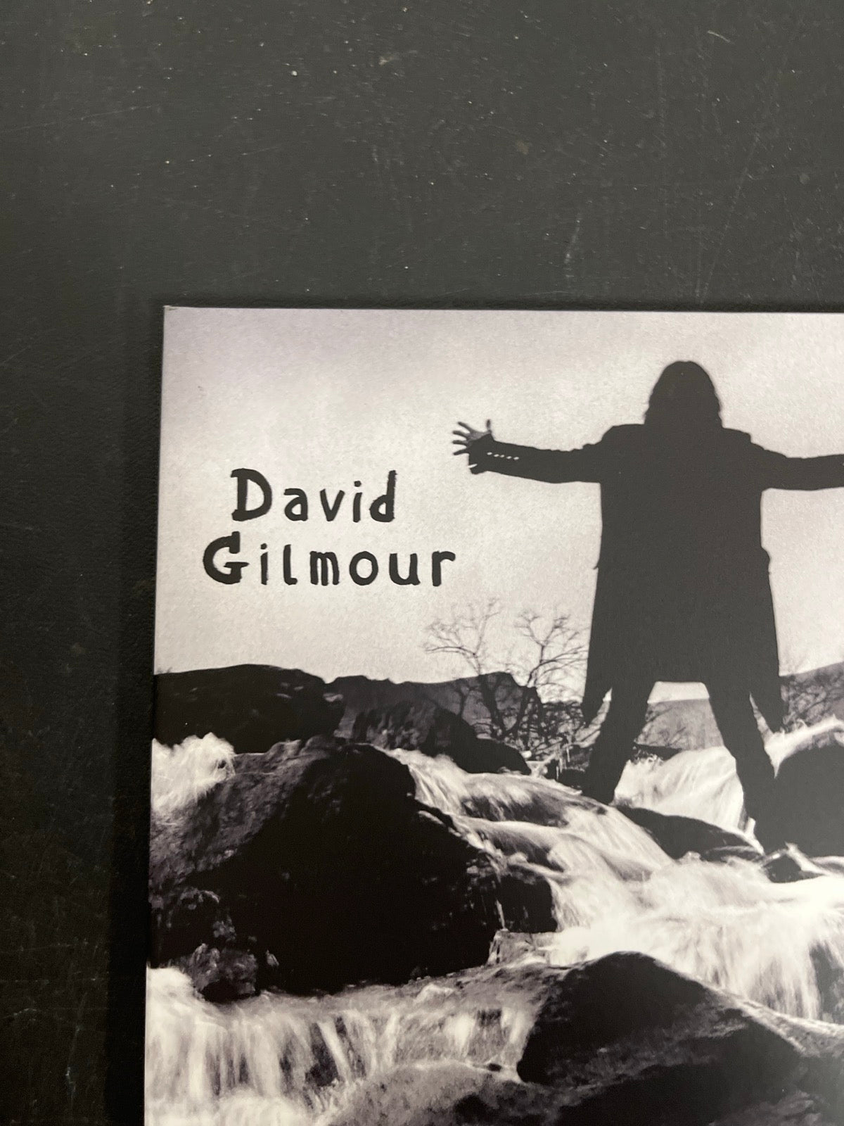 FRONT_TL - David Gilmour - Luck and S... Target Exclusive Blue Vinyl USED NOT TESTED