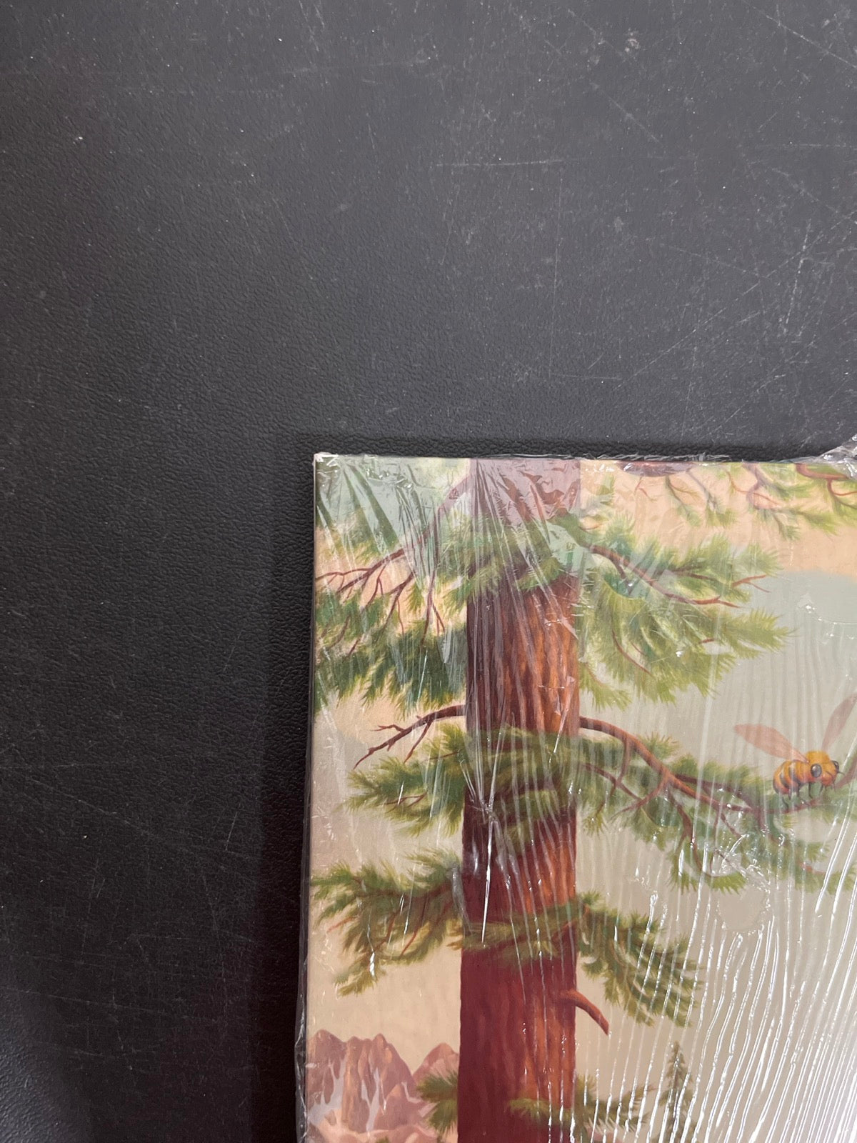 FRONT_TL - Tyler, The Creator - Wolf LE Pink Vinyl USED NOT TESTED