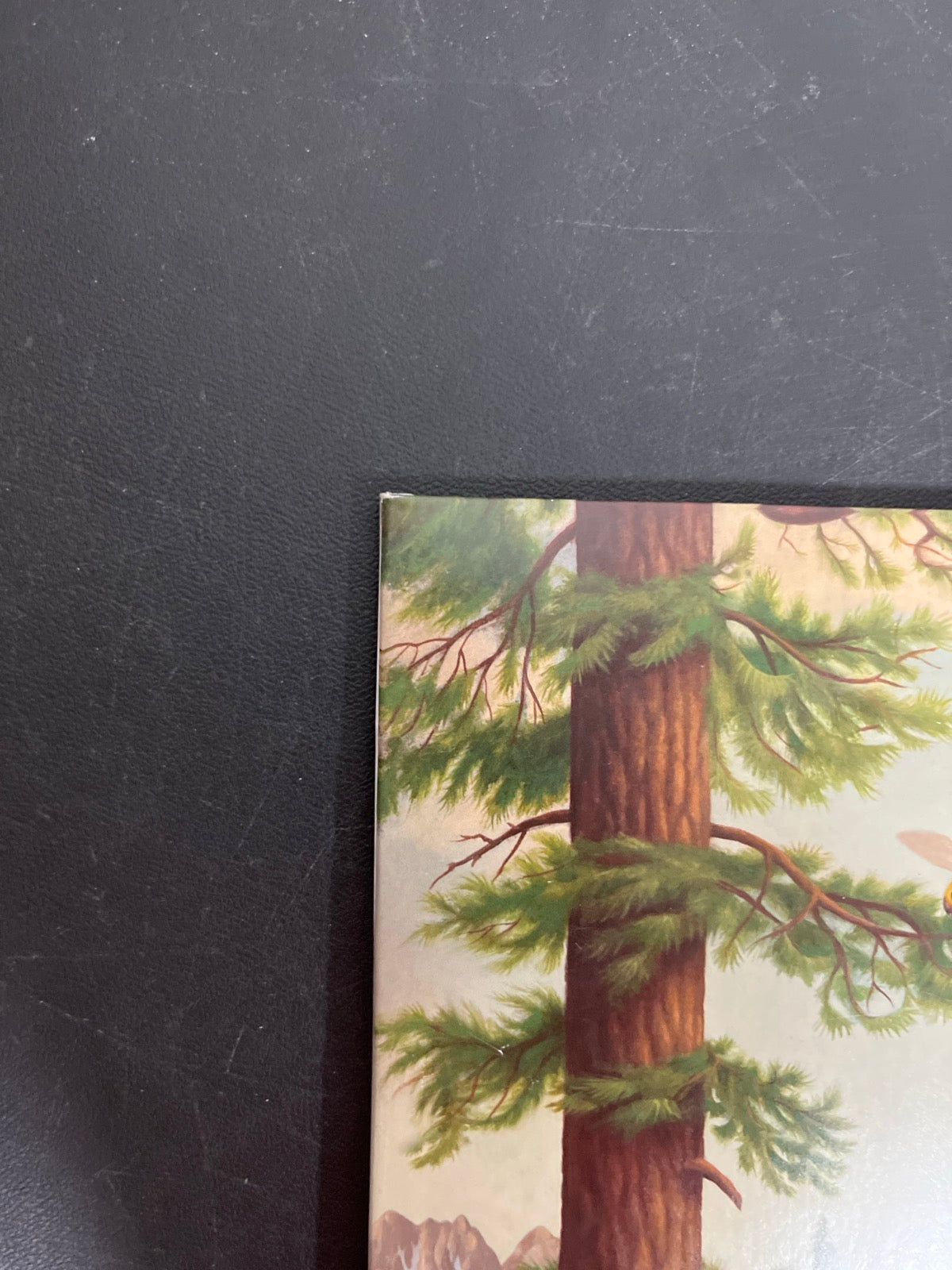 FRONT_TL - Tyler, The Creator - Wolf LE Pink Vinyl USED NOT TESTED