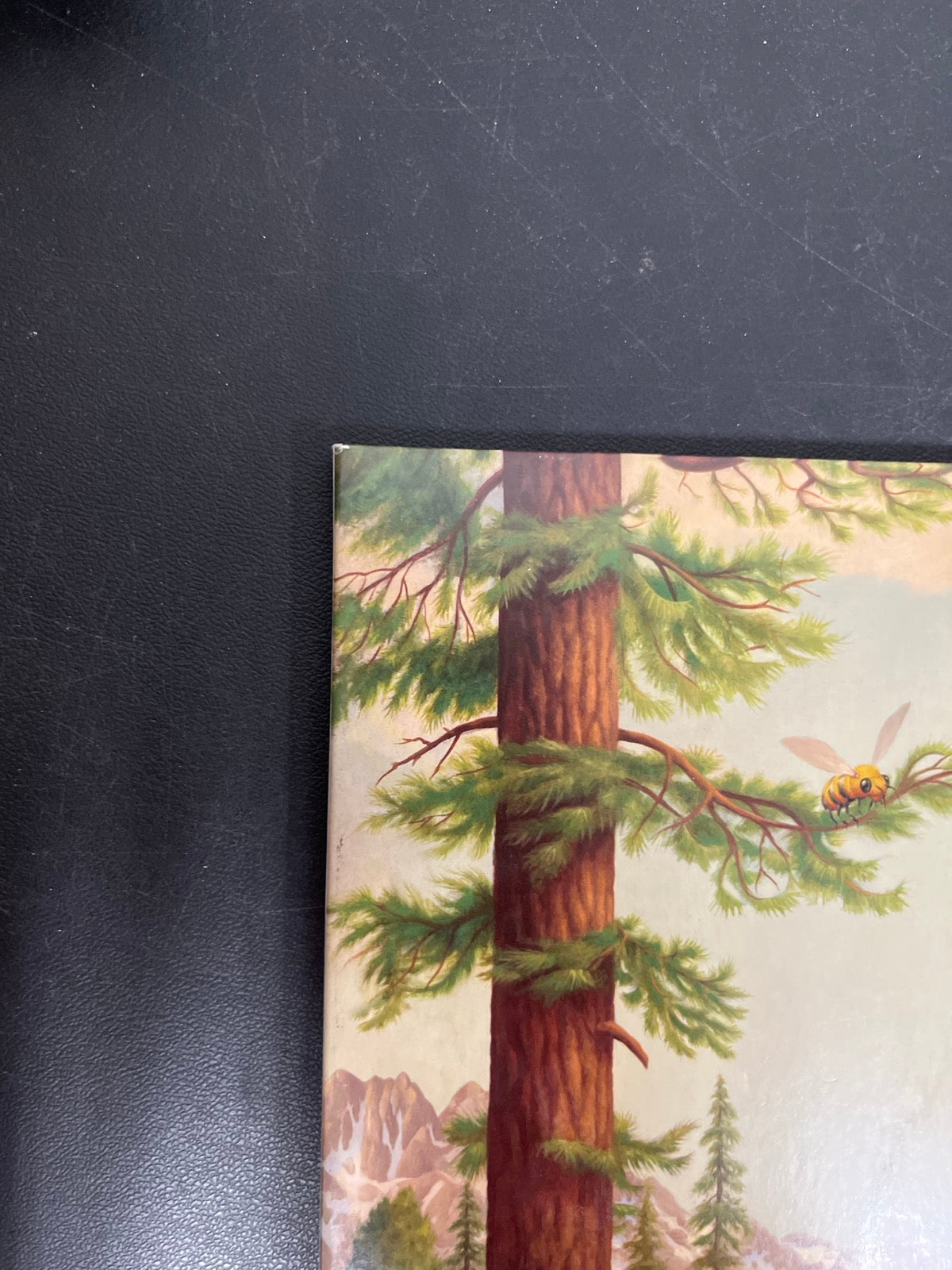 FRONT_TL - Tyler, The Creator - Wolf LE Pink Vinyl USED NOT TESTED