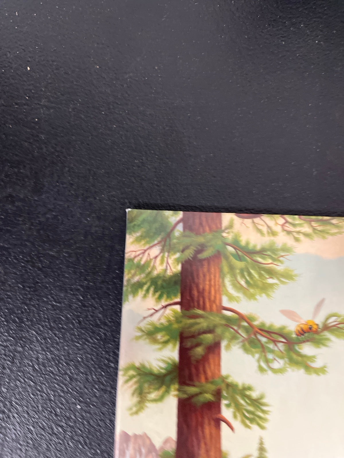 FRONT_TL - Tyler, The Creator - Wolf LE Pink Vinyl USED NOT TESTED