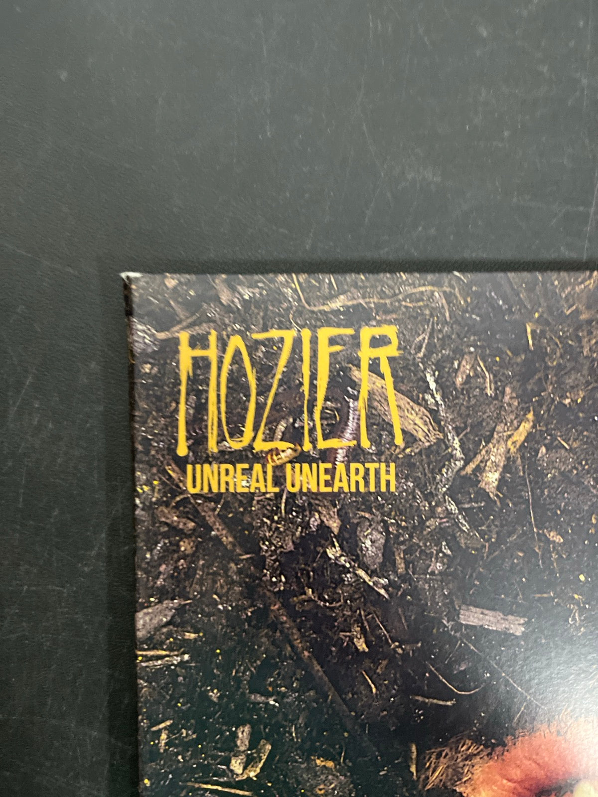 FRONT_TL - Hozier - Unreal Unearth Target Exclusive Vinyl USED NOT TESTED