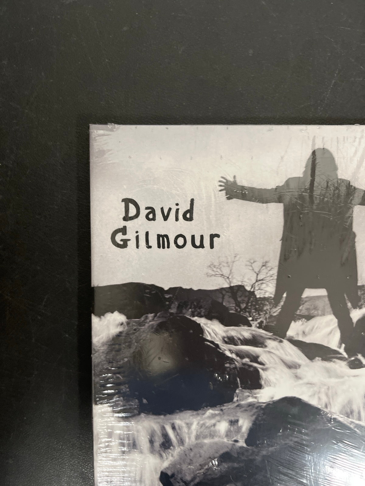 FRONT_TL - David Gilmour - Luck and S... Target Exclusive Blue Vinyl USED NOT TESTED