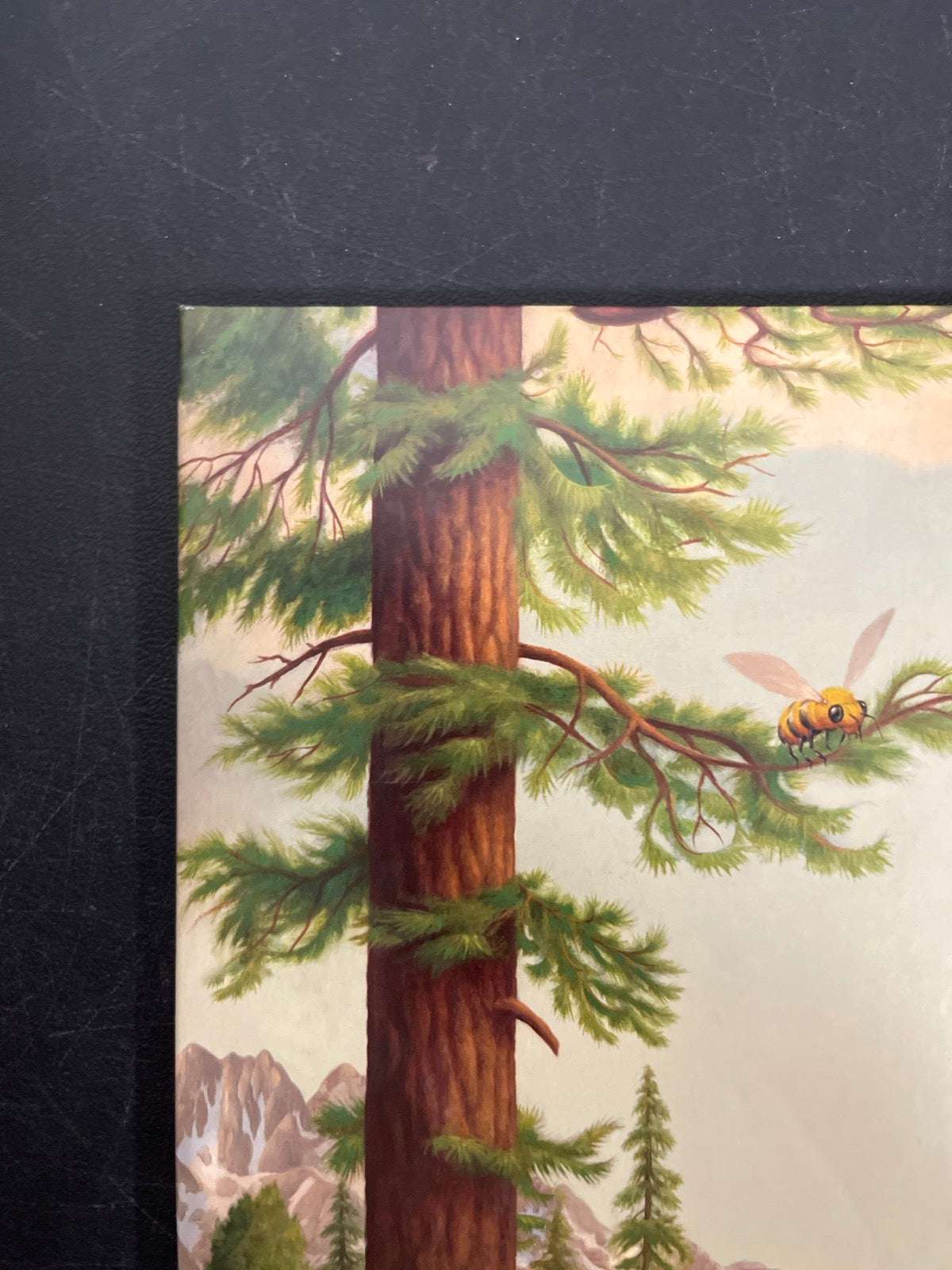FRONT_TL - Tyler, The Creator - Wolf LE Pink Vinyl USED NOT TESTED