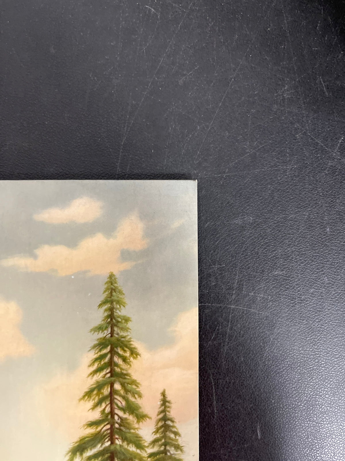FRONT_TR - Tyler, The Creator - Wolf LE Pink Vinyl USED NOT TESTED