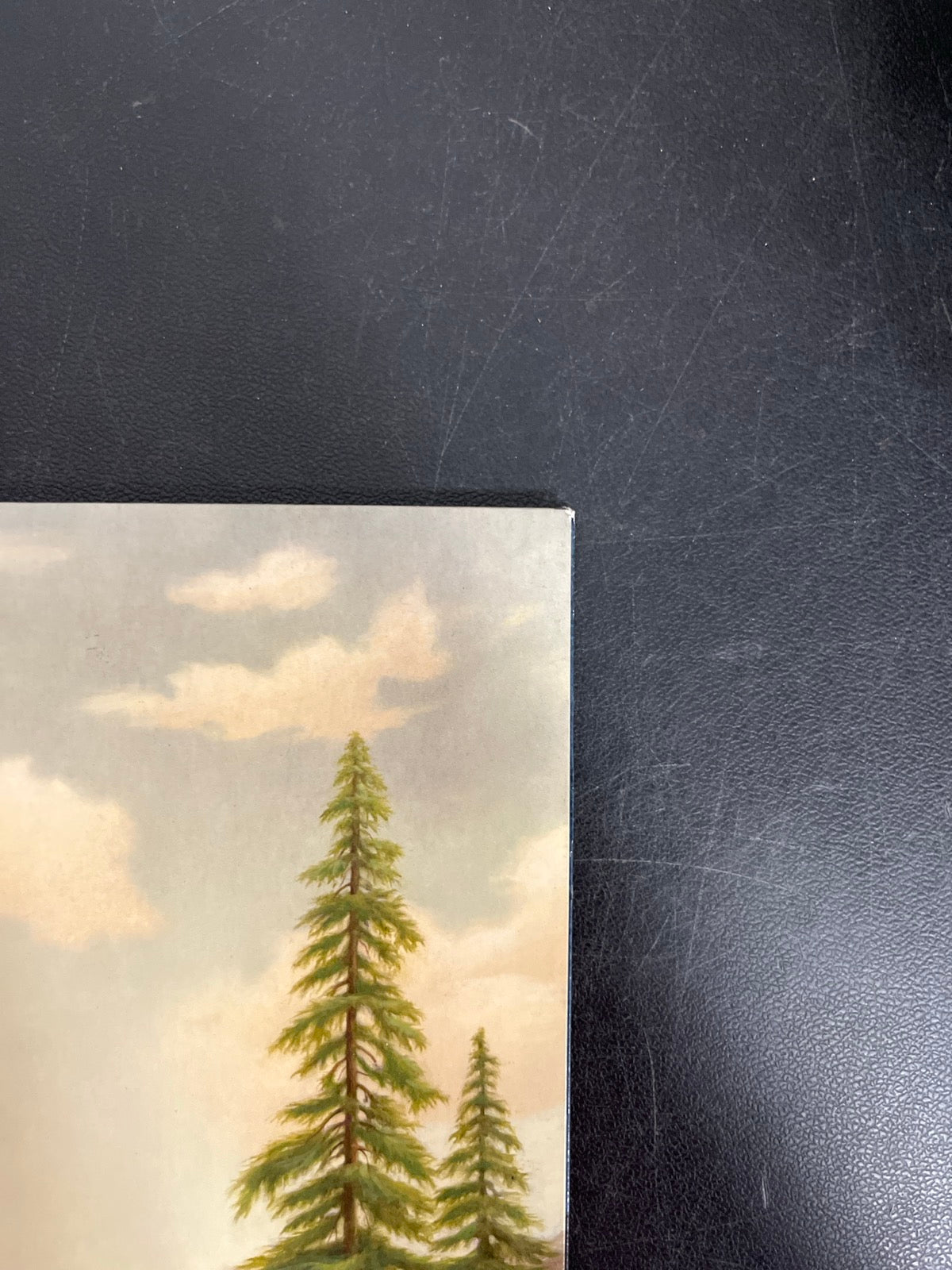FRONT_TR - Tyler, The Creator - Wolf LE Pink Vinyl USED NOT TESTED
