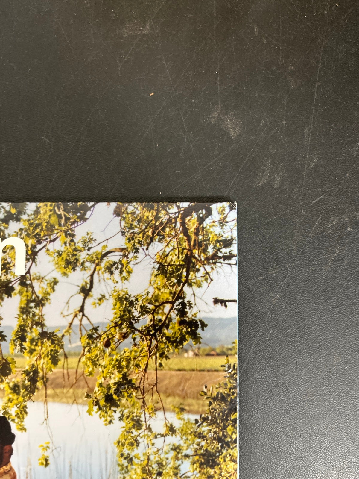 FRONT_TR - Leon Bridges - Leon Collector's Ed. Bone Color Vinyl USED NOT TESTED