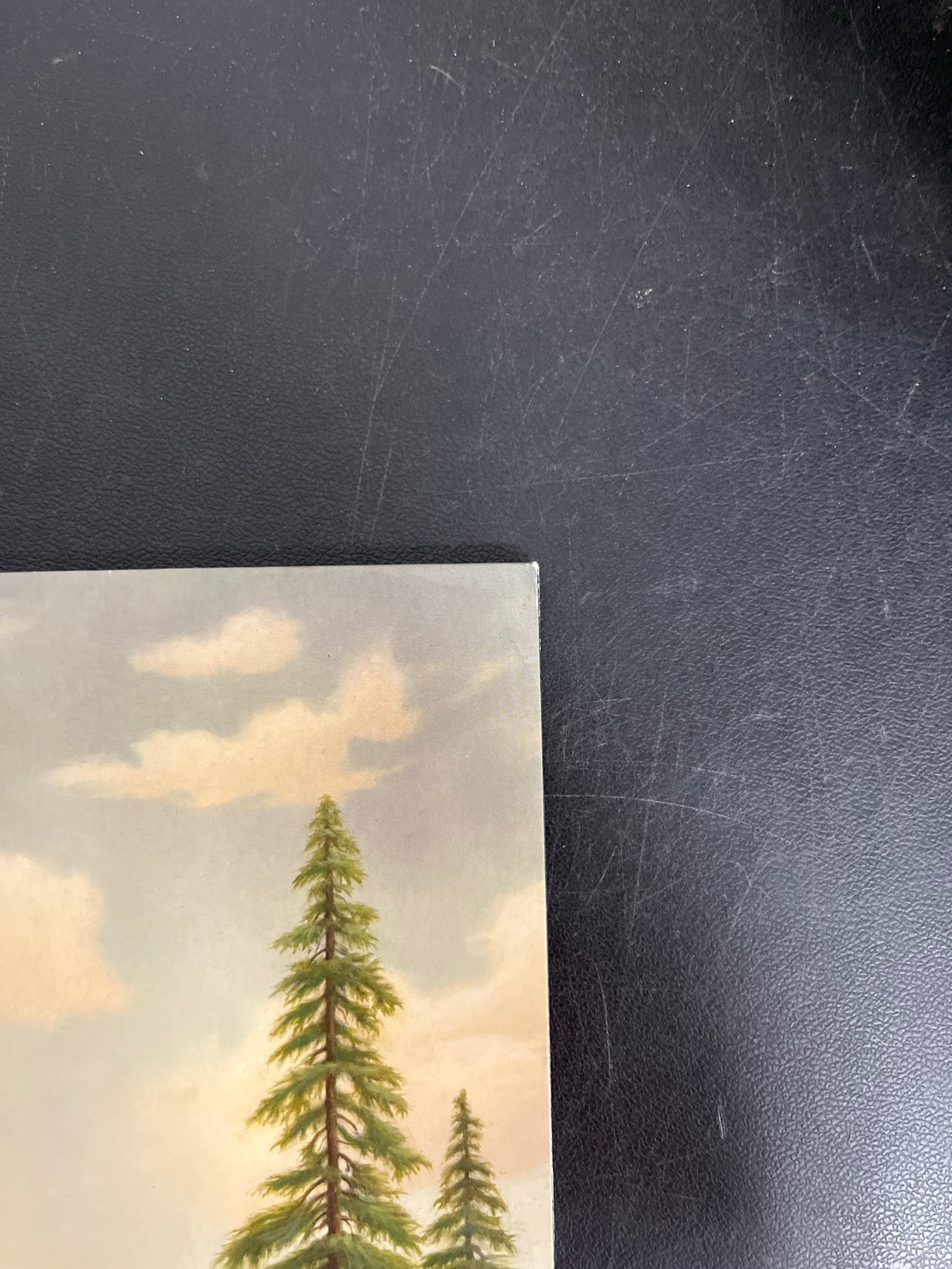 FRONT_TR - Tyler, The Creator - Wolf LE Pink Vinyl USED NOT TESTED