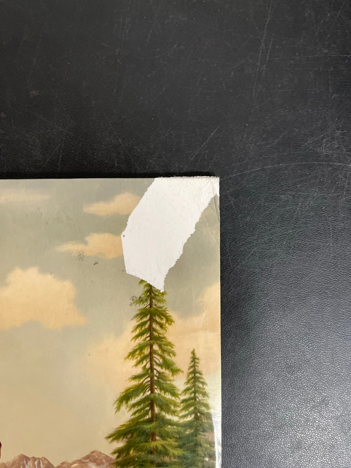 FRONT_TR - Tyler, The Creator - Wolf LE Pink Vinyl USED NOT TESTED