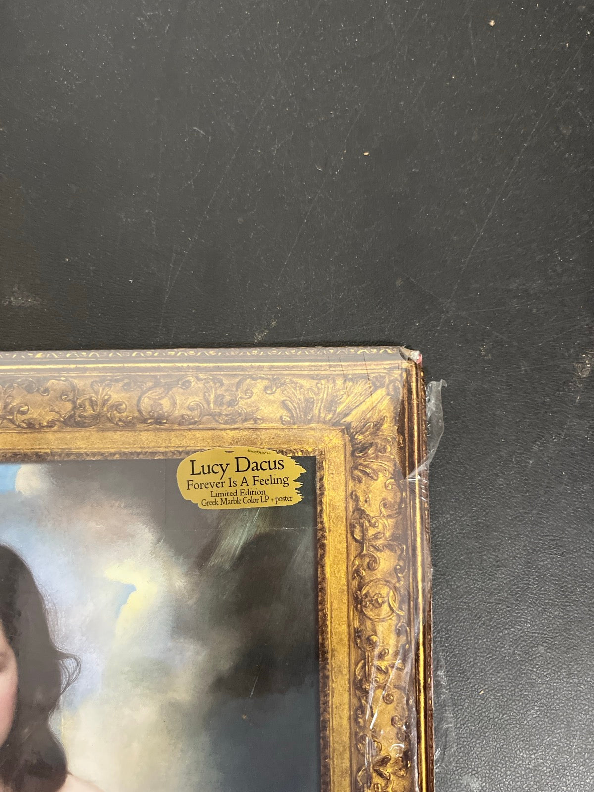 FRONT_TR - Lucy Dacus - Forever Is A Feeling LE Greek Marble Vinyl USED NOT TESTED