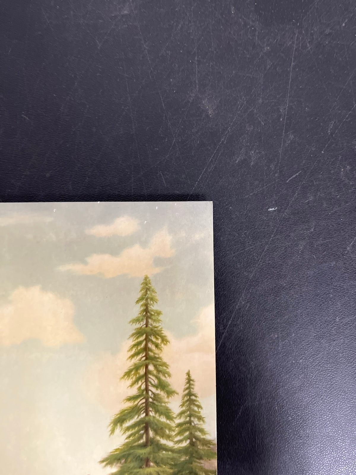 FRONT_TR - Tyler, The Creator - Wolf LE Pink Vinyl USED NOT TESTED