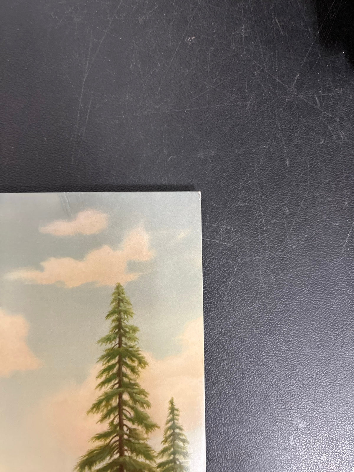 FRONT_TR - Tyler, The Creator - Wolf LE Pink Vinyl USED NOT TESTED