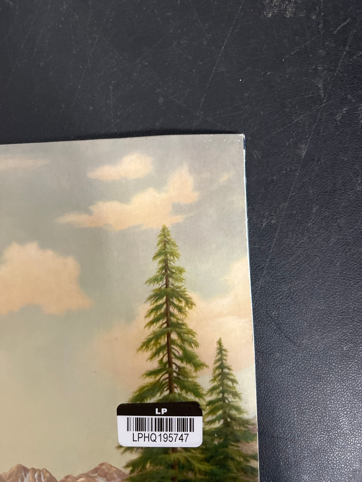 FRONT_TR - Tyler, The Creator - Wolf LE Pink Vinyl USED NOT TESTED