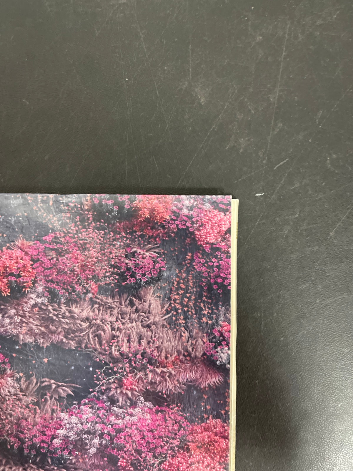 FRONT_TR - Sleep Token - Even In Arcadia Black Vinyl USED NOT TESTED