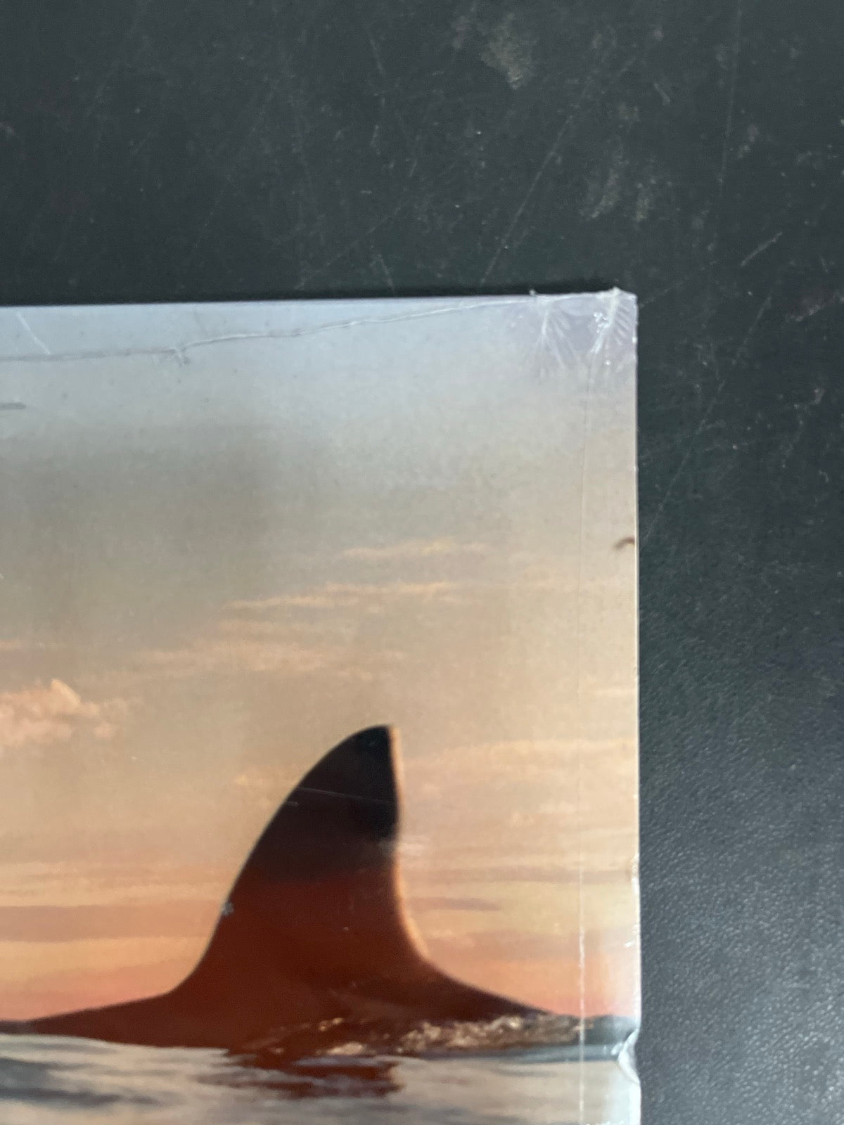 FRONT_TR - Dua Lipa - Radical Optimism LE Clear Vinyl USED NOT TESTED
