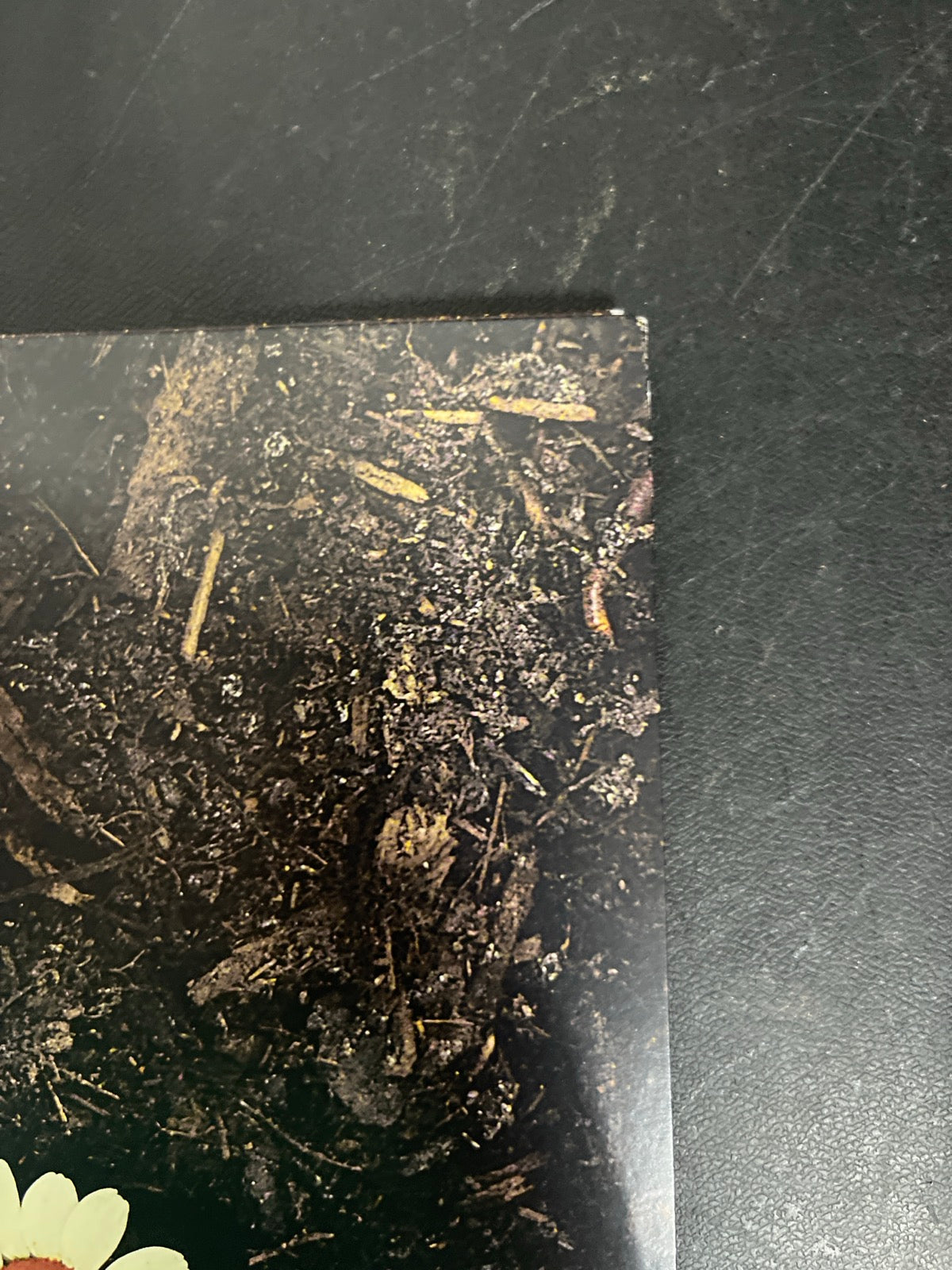 FRONT_TR - Hozier - Unreal Unearth Target Exclusive Vinyl USED NOT TESTED