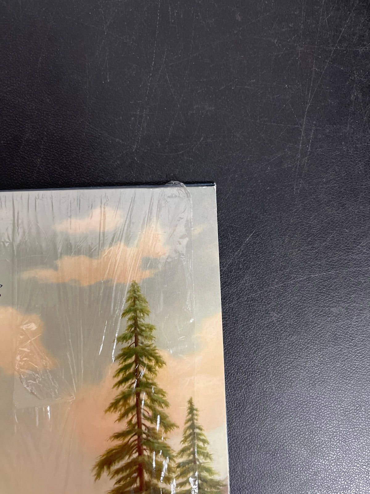 FRONT_TR - Tyler, The Creator - Wolf LE Pink Vinyl USED NOT TESTED