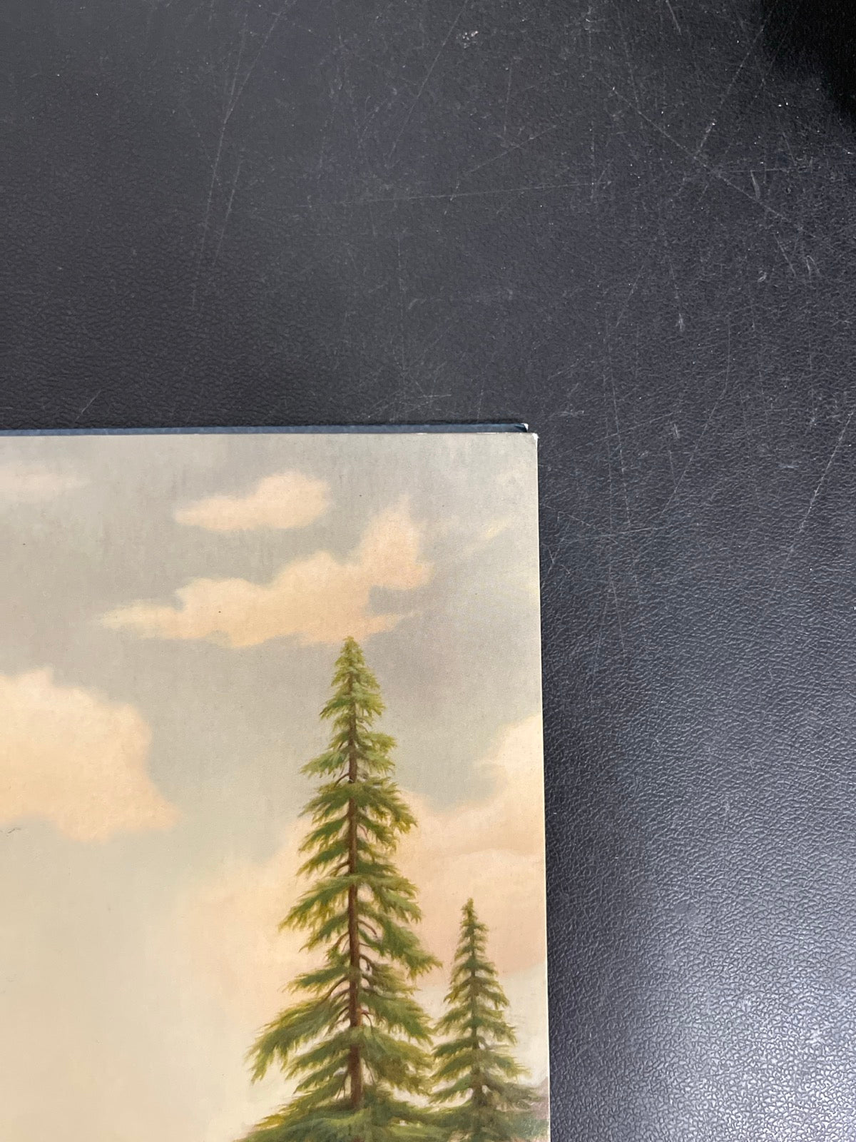FRONT_TR - Tyler, The Creator - Wolf LE Pink Vinyl USED NOT TESTED