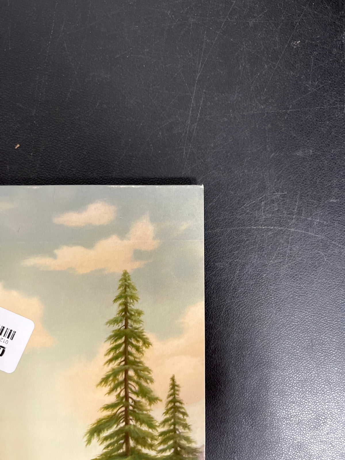 FRONT_TR - Tyler, The Creator - Wolf LE Pink Vinyl USED NOT TESTED