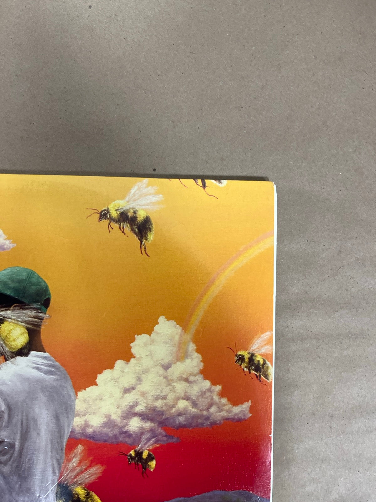FRONT_TR - Tyler, the Creator - Flower Boy LE Vinyl USED NOT TESTED