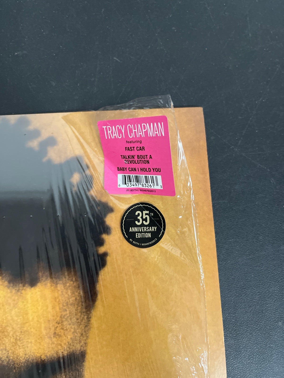 FRONT_TR - Chapman - Tracy Chapman Reissue Etched 180 Gram Remastered Vinyl USED NOT TESTED