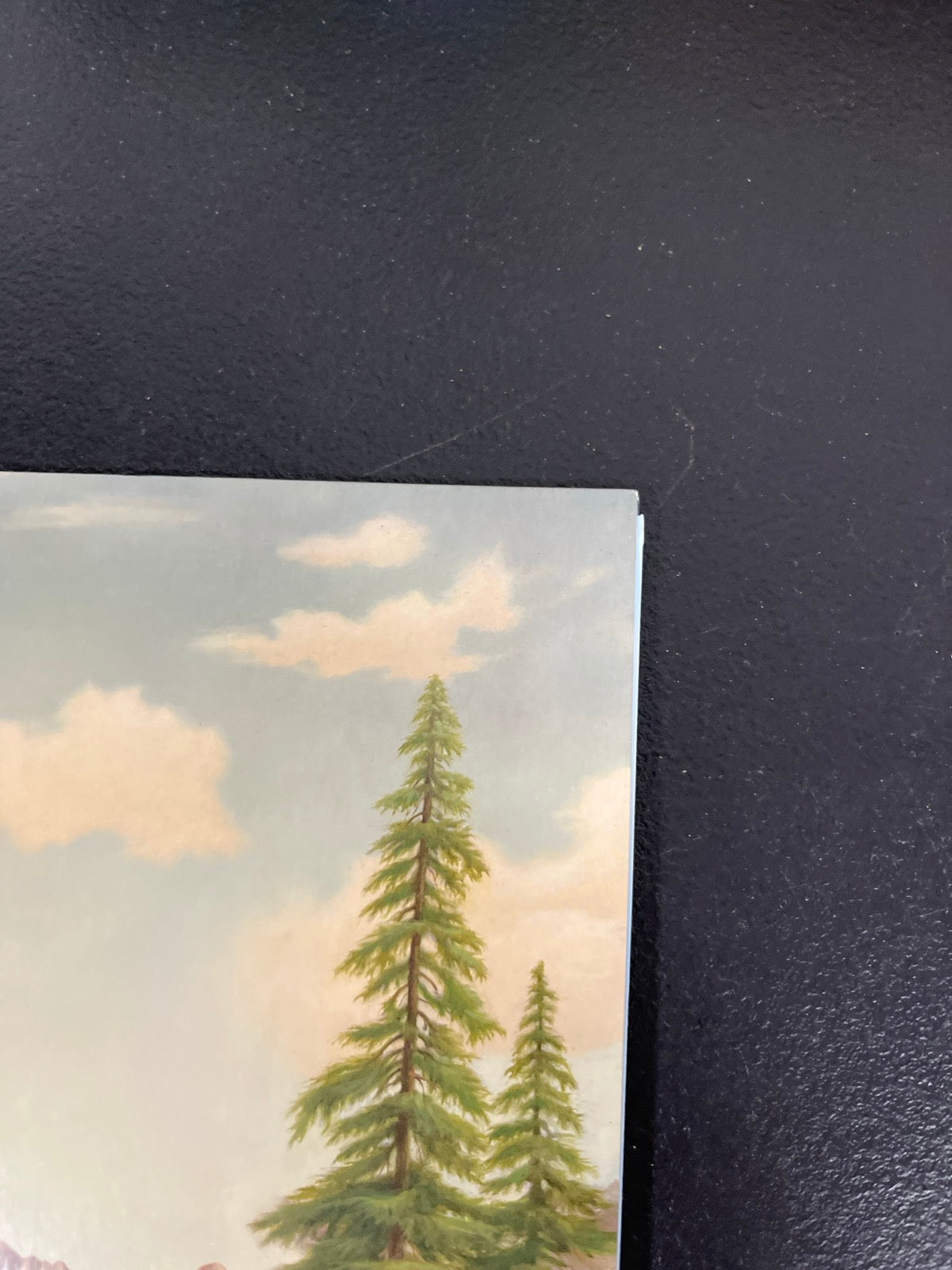 FRONT_TR - Tyler, The Creator - Wolf LE Pink Vinyl USED NOT TESTED