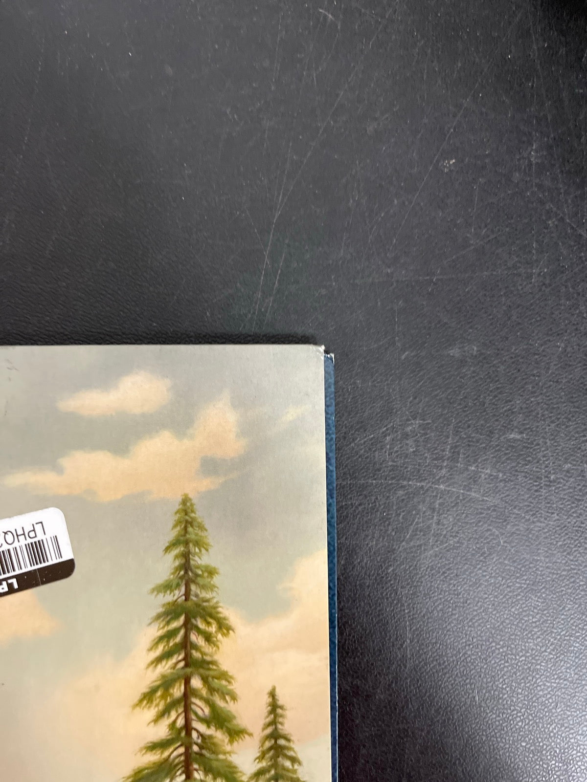 FRONT_TR - Tyler, The Creator - Wolf LE Pink Vinyl USED NOT TESTED