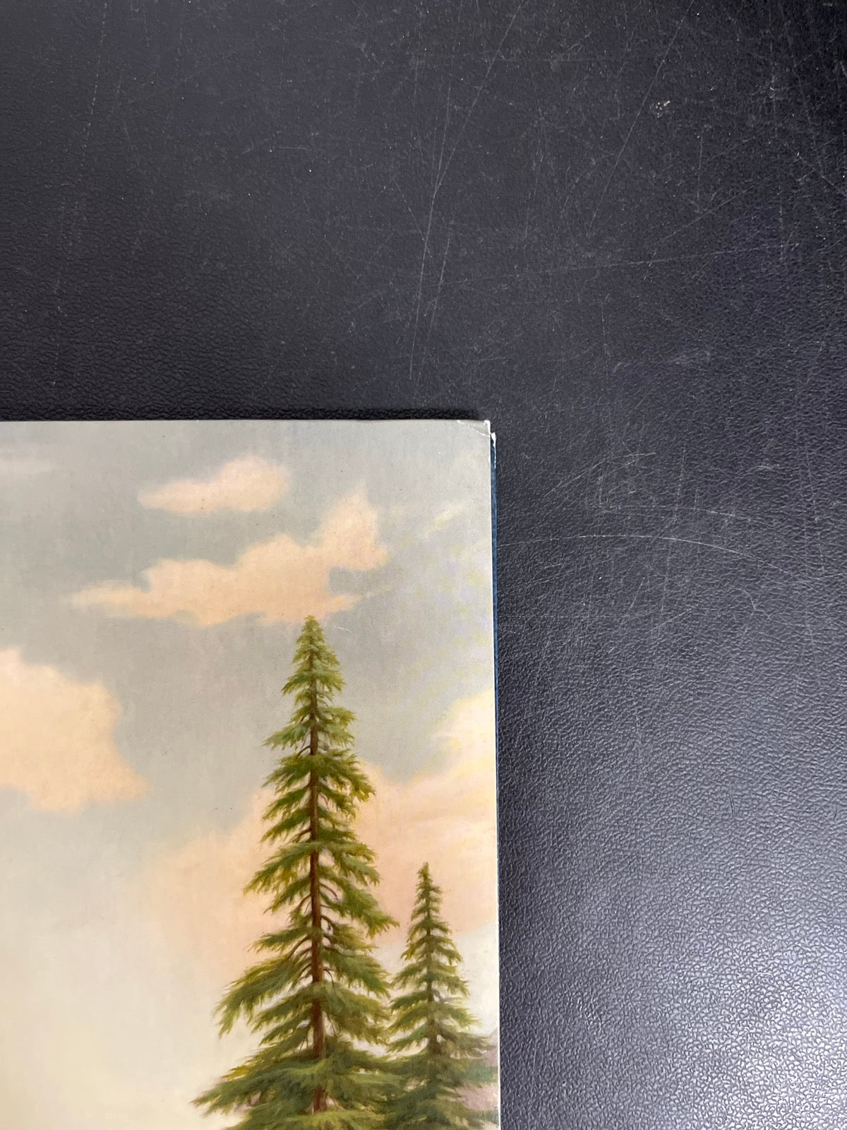 FRONT_TR - Tyler, The Creator - Wolf LE Pink Vinyl USED NOT TESTED