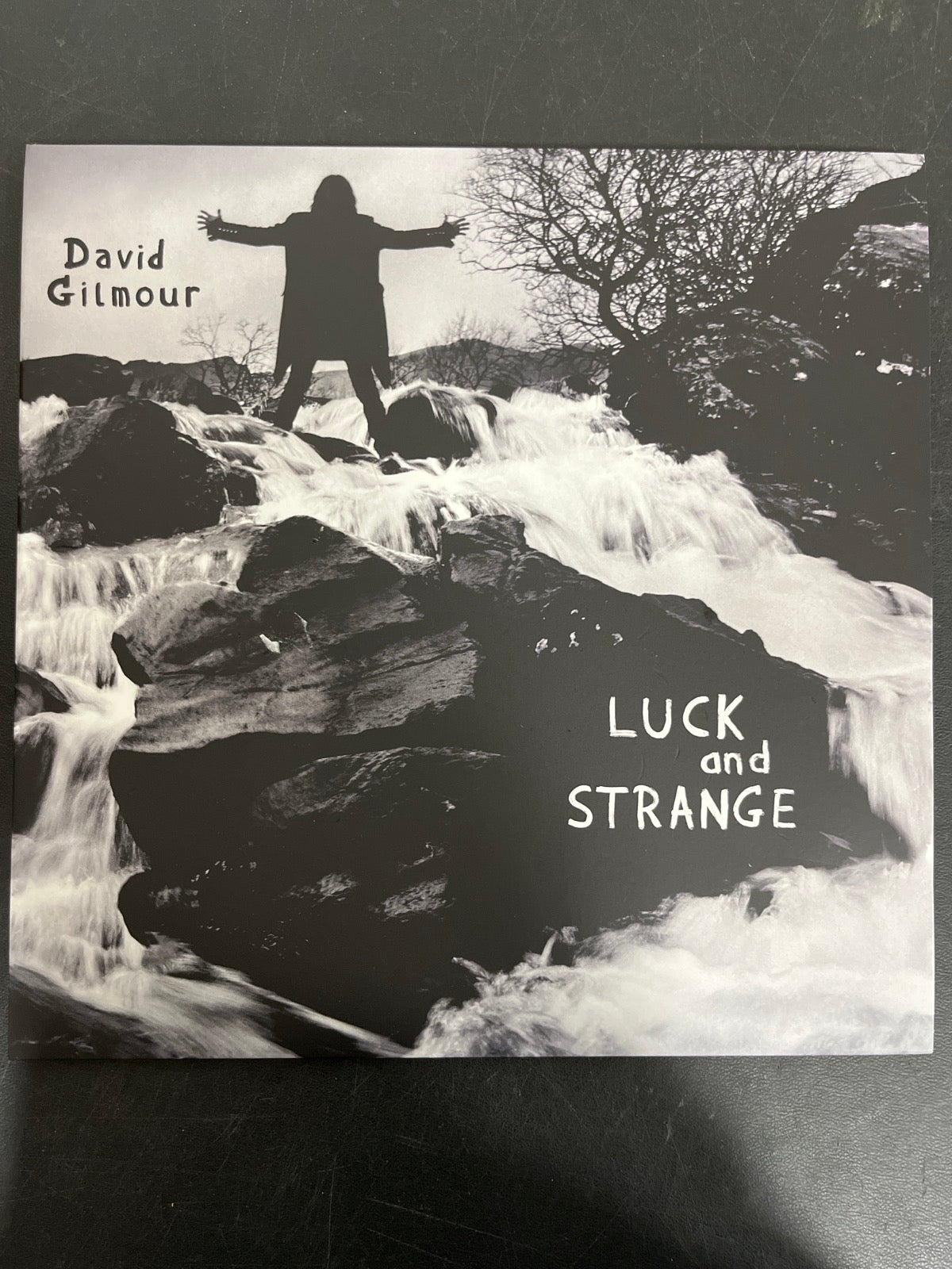 FRONT - David Gilmour - Luck and S... Target Exclusive Blue Vinyl USED NOT TESTED