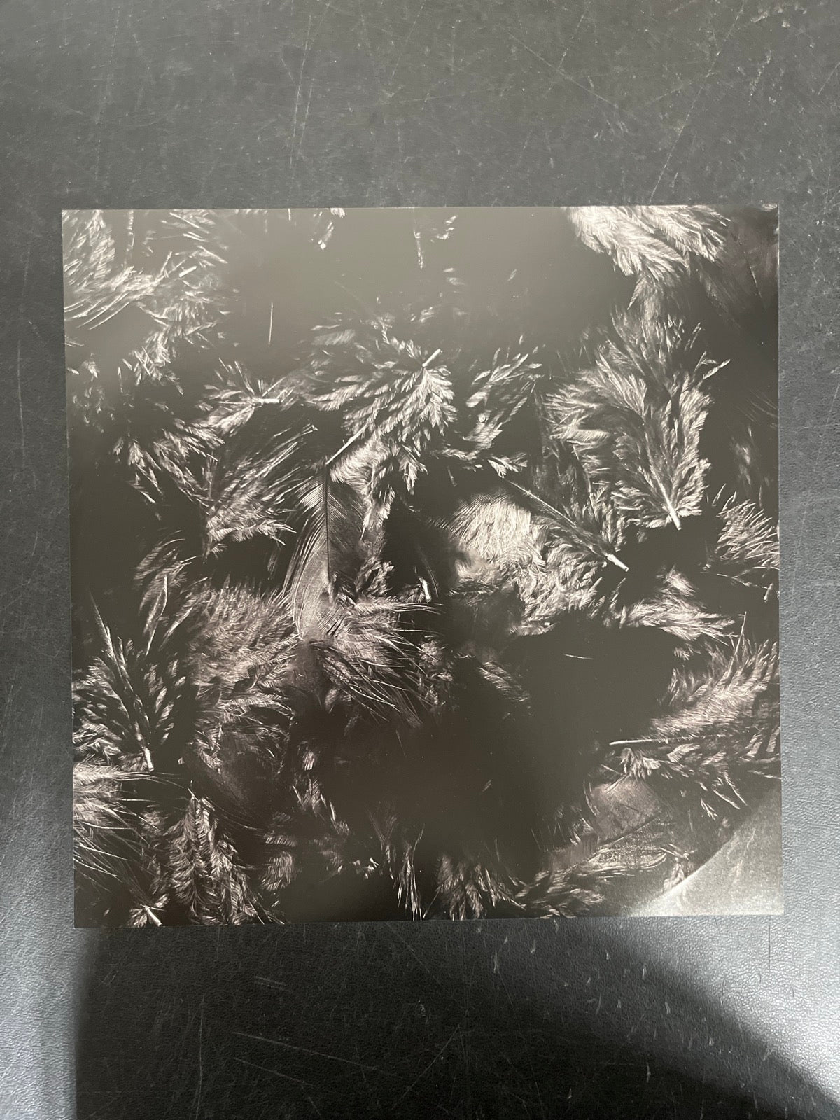 MISC_1 - Conan Gray - Kid Krow LE Red Vinyl USED NOT TESTED