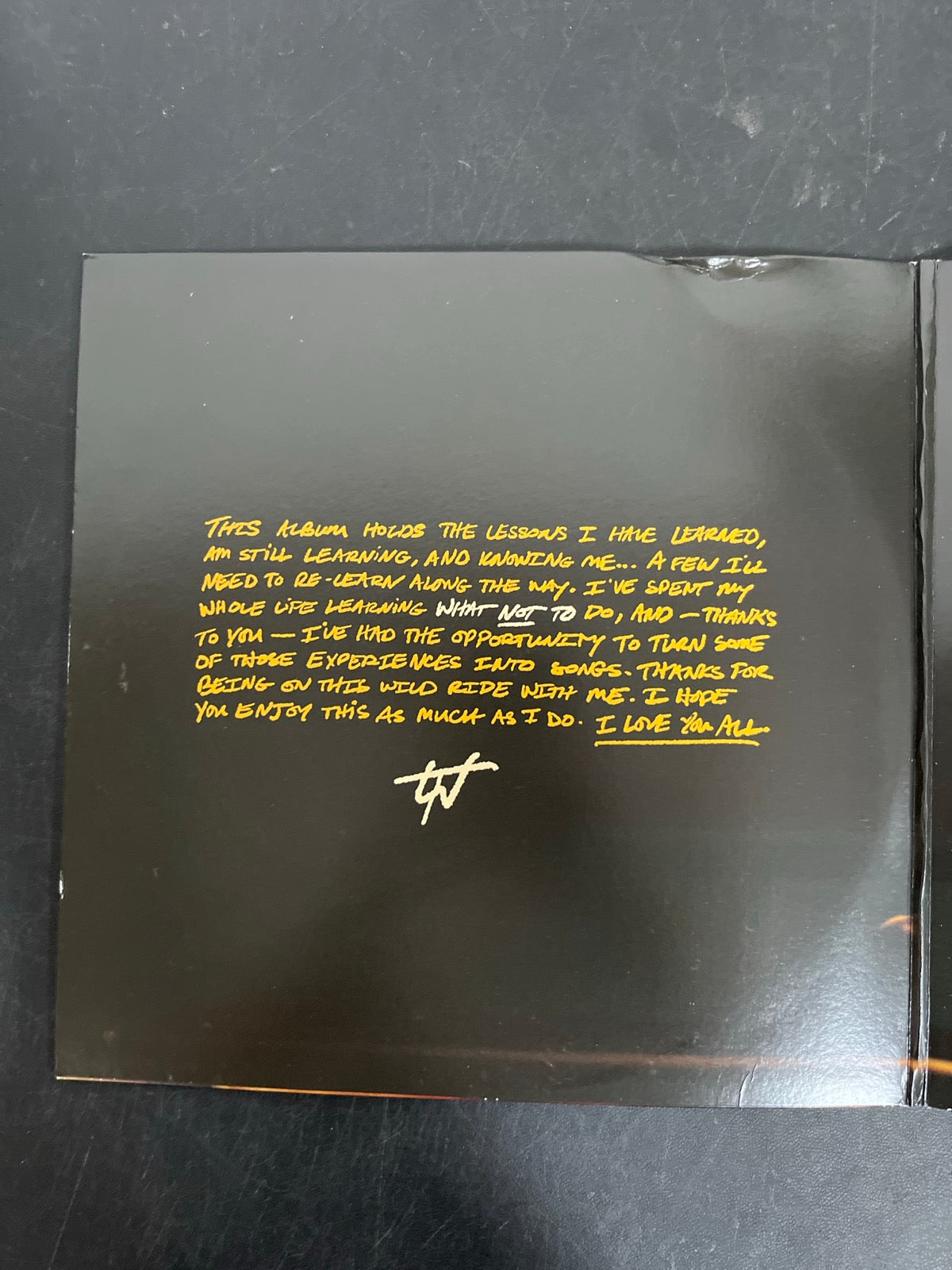 MISC_1 - Tucker Wetmore - What Not To LE Brown Vinyl USED NOT TESTED