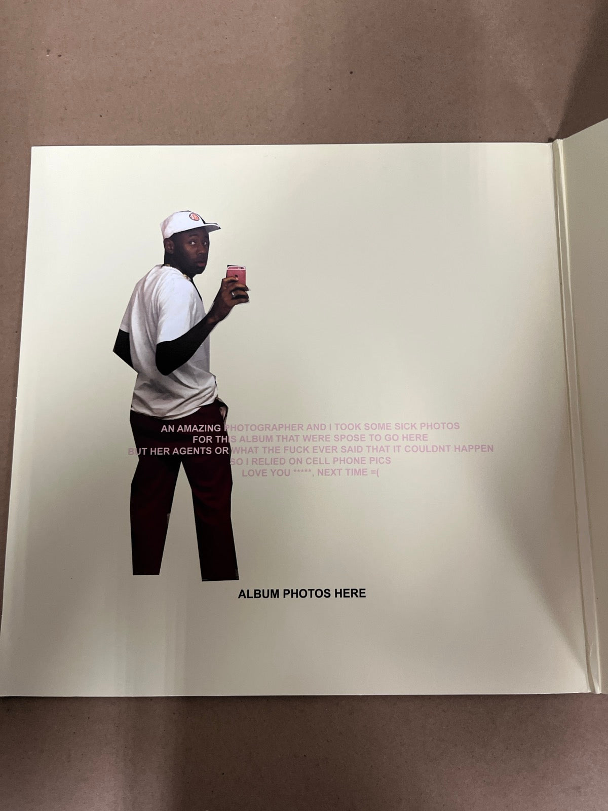 MISC_1 - Tyler, the Creator - Flower Boy LE Vinyl USED NOT TESTED