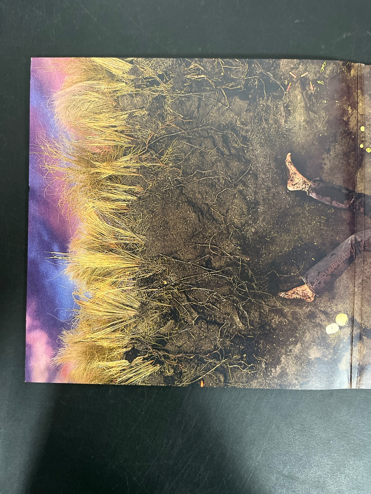 MISC_1 - Hozier - Unreal Unearth Target Exclusive Vinyl USED NOT TESTED