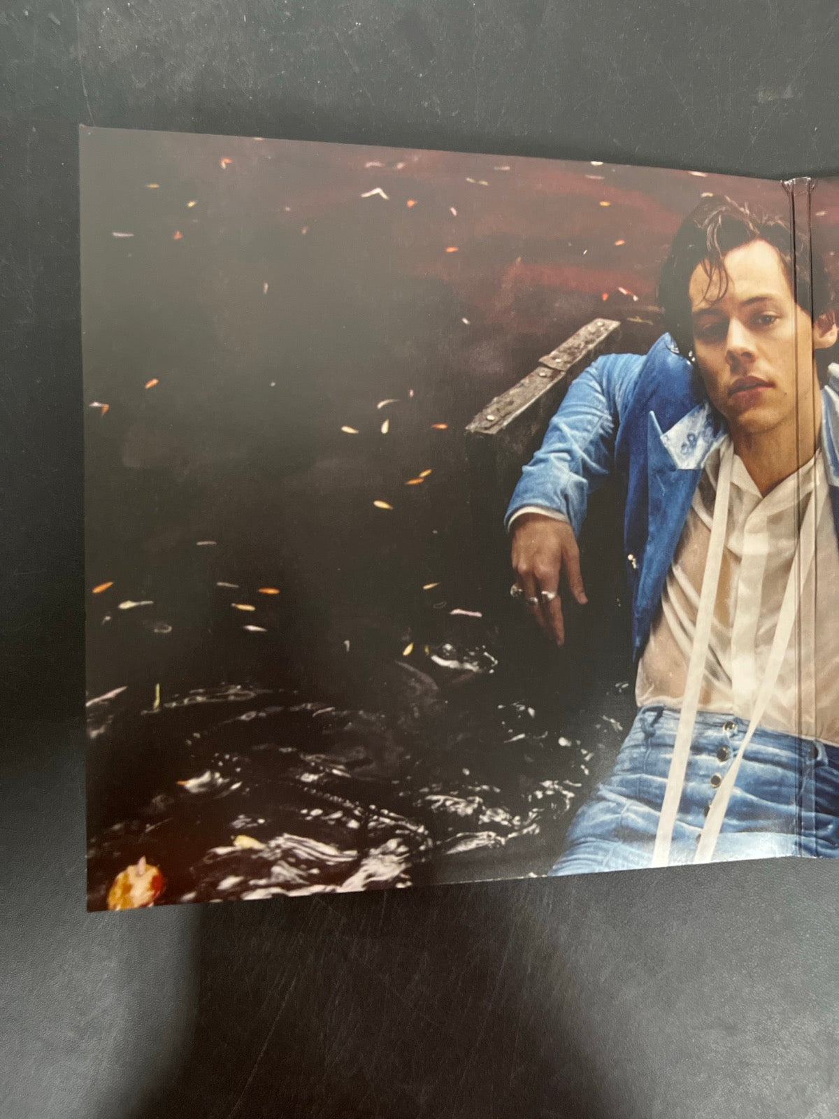 MISC_1 - Harry Styles - Harry Styles Vinyl USED NOT TESTED