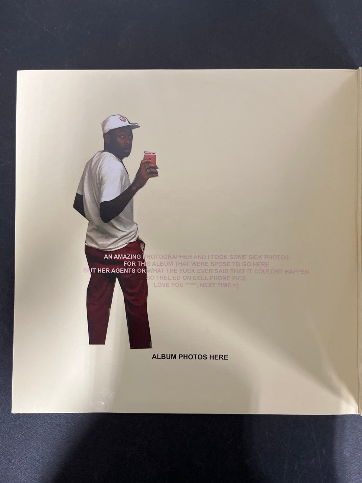 MISC_1 - Tyler, the Creator - Flower Boy LE Vinyl USED NOT TESTED