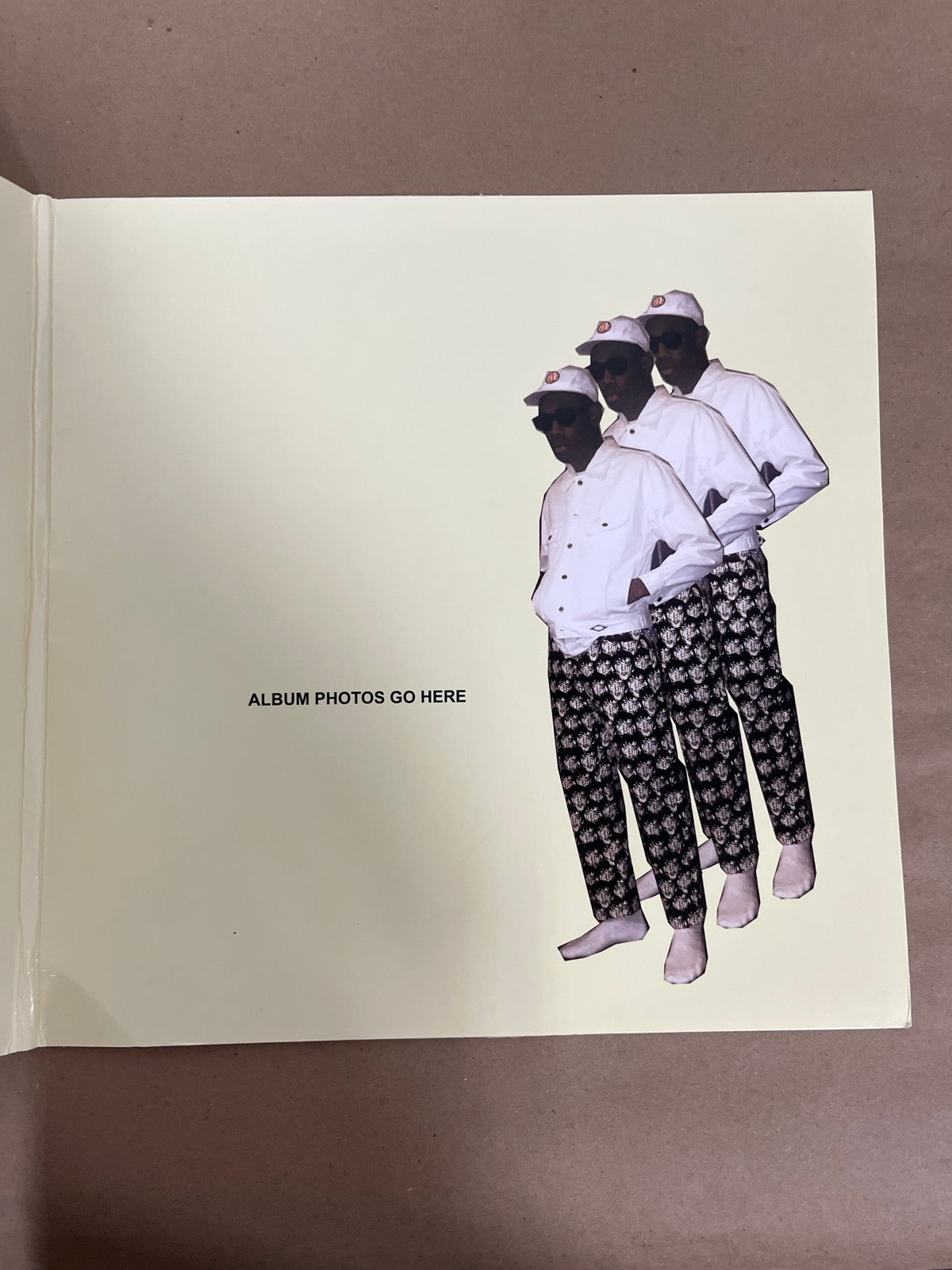 MISC_2 - Tyler, the Creator - Flower Boy LE Vinyl USED NOT TESTED