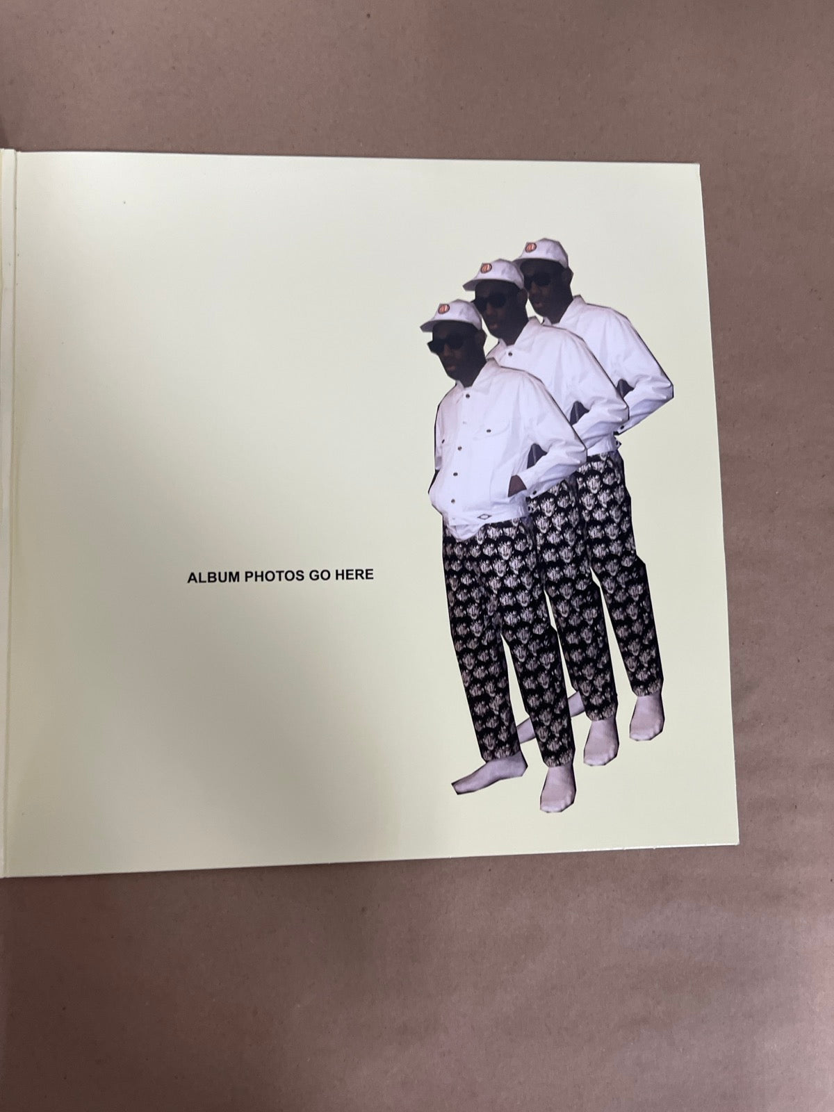 MISC_2 - Tyler, the Creator - Flower Boy LE Vinyl USED NOT TESTED