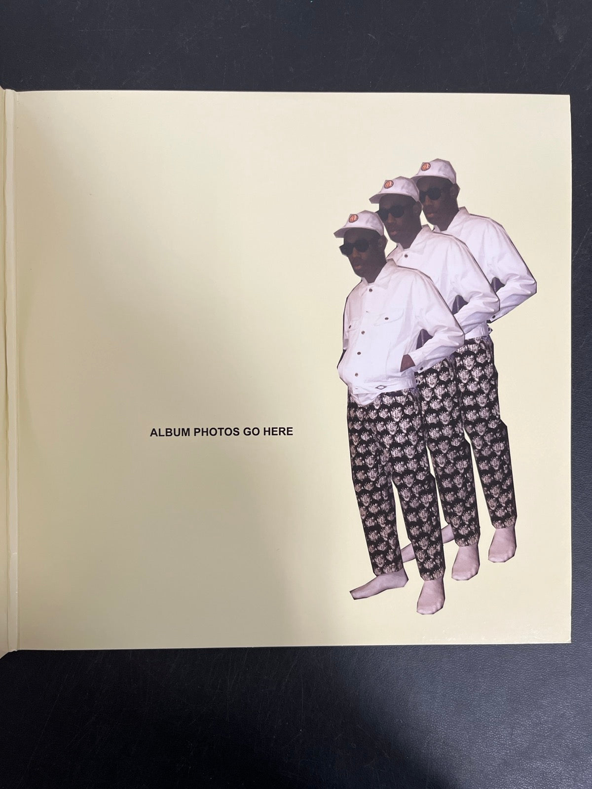 MISC_2 - Tyler, the Creator - Flower Boy LE Vinyl USED NOT TESTED