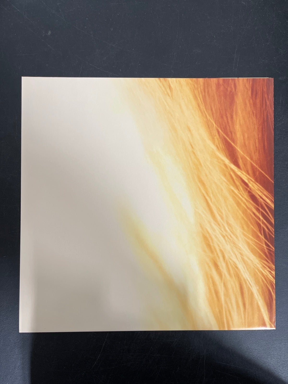 MISC_3 - Taylor Swift - The Life of a ... LE 180gm Pink Yellow Vinyl USED NOT TESTED