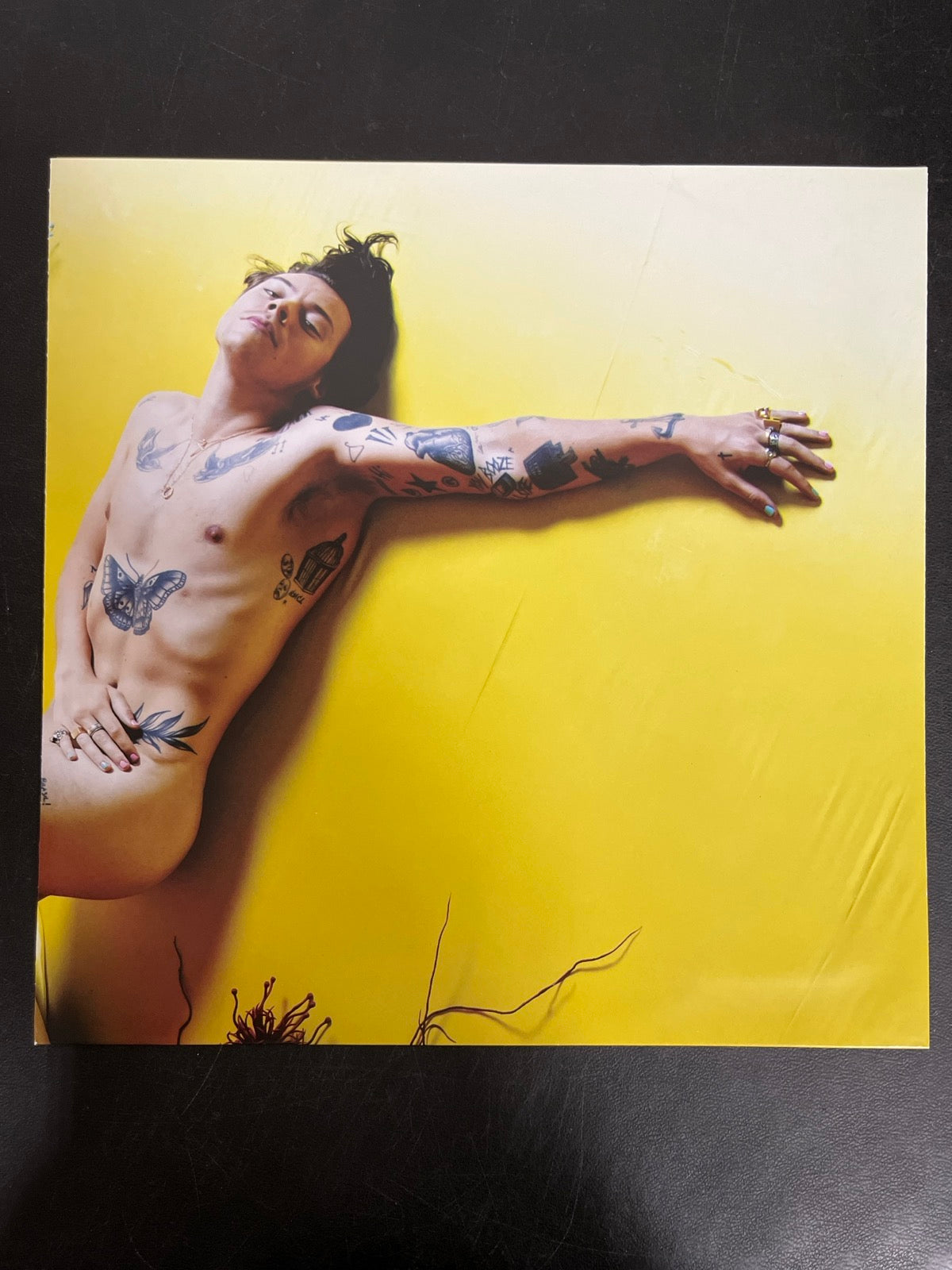 MISC_3 - Harry Styles - Fine Line LE Black & White Vinyl USED NOT TESTED