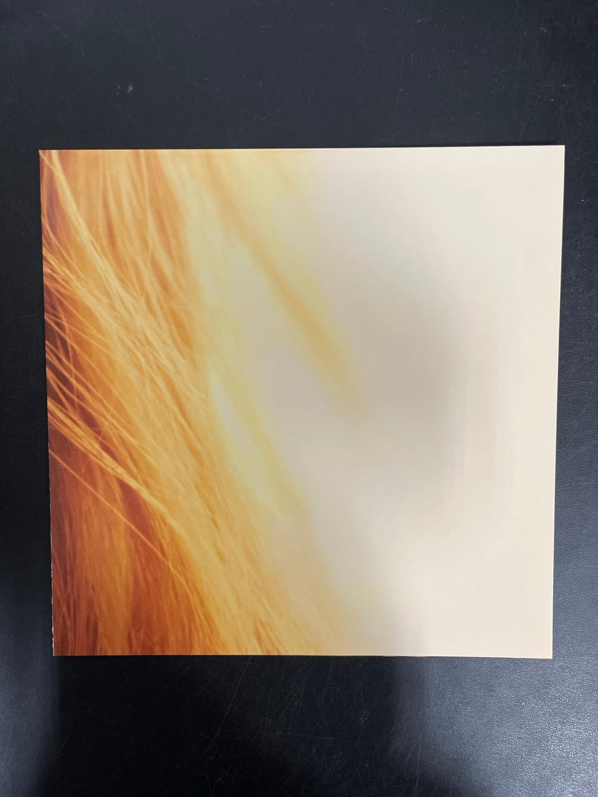 MISC_4 - Taylor Swift - The Life of a ... LE Pink Yellow Vinyl USED NOT TESTED