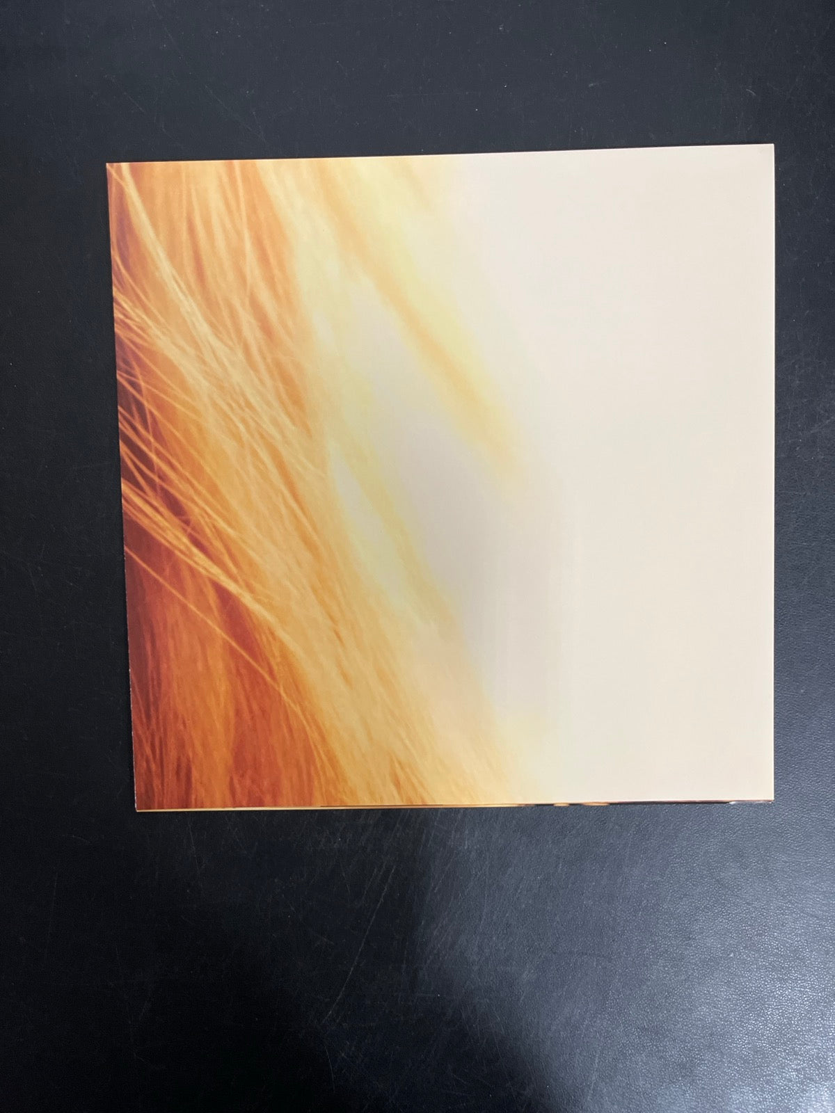 MISC_4 - Taylor Swift - The Life of a ... LE 180gm Pink Yellow Vinyl USED NOT TESTED
